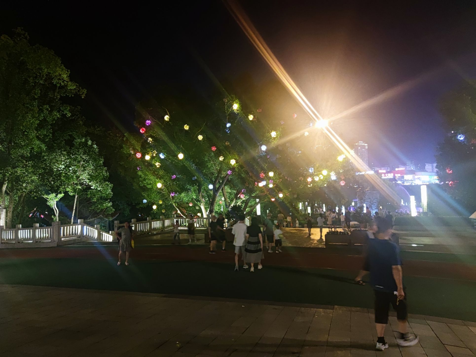 紫阳公园旅行图片 3