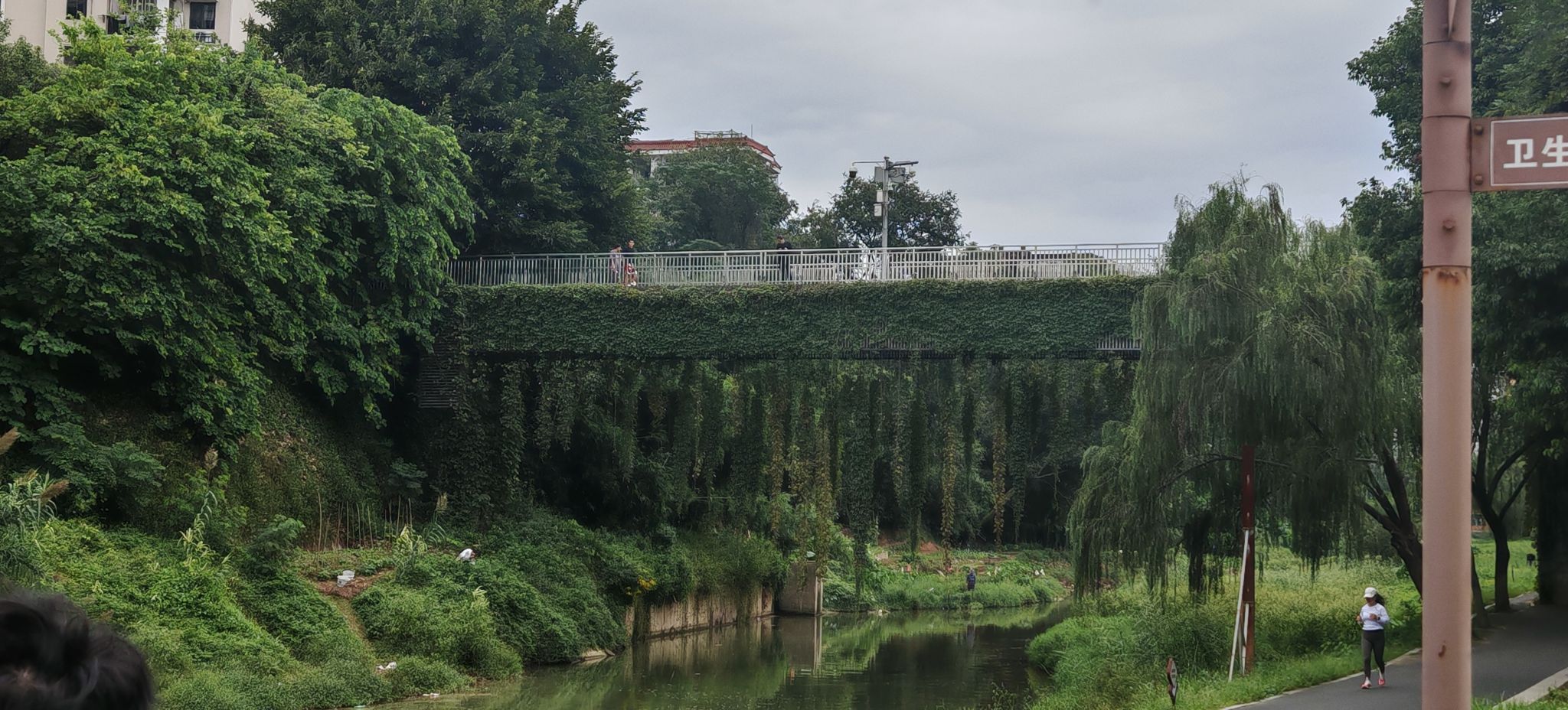 龟山公园旅行图片 3