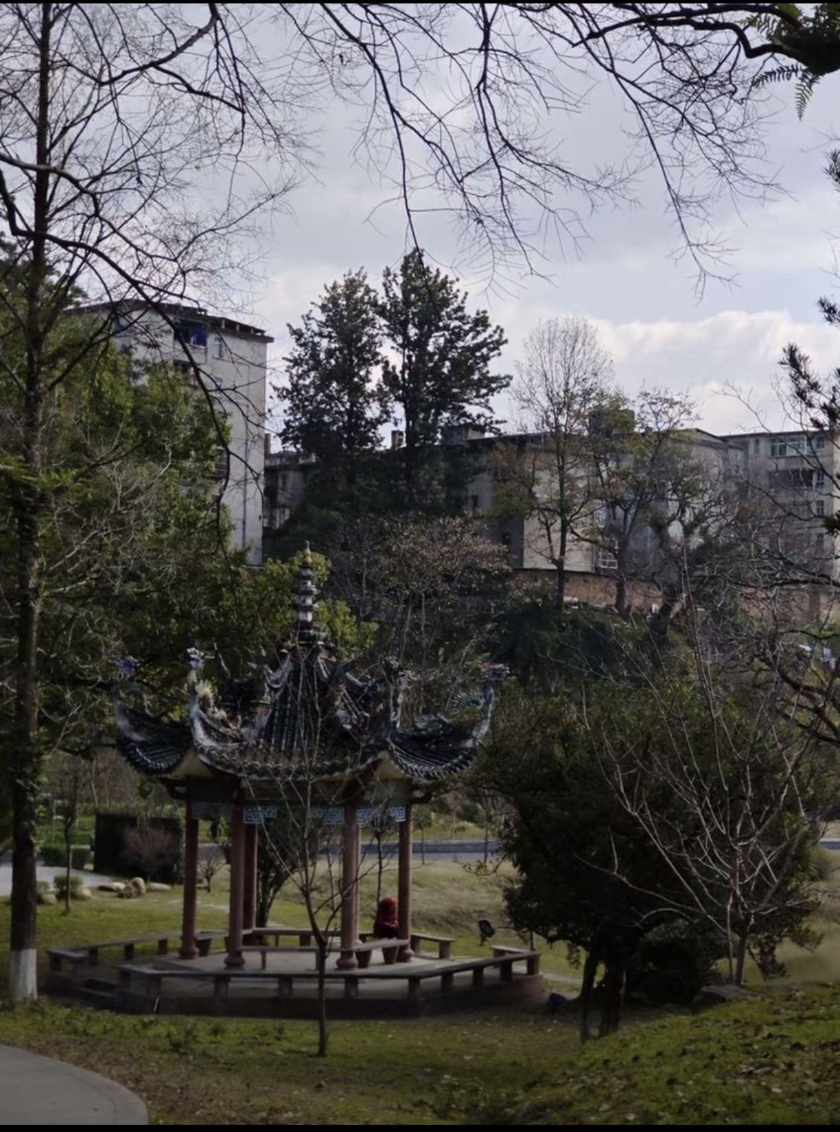 龟山公园旅行图片 1