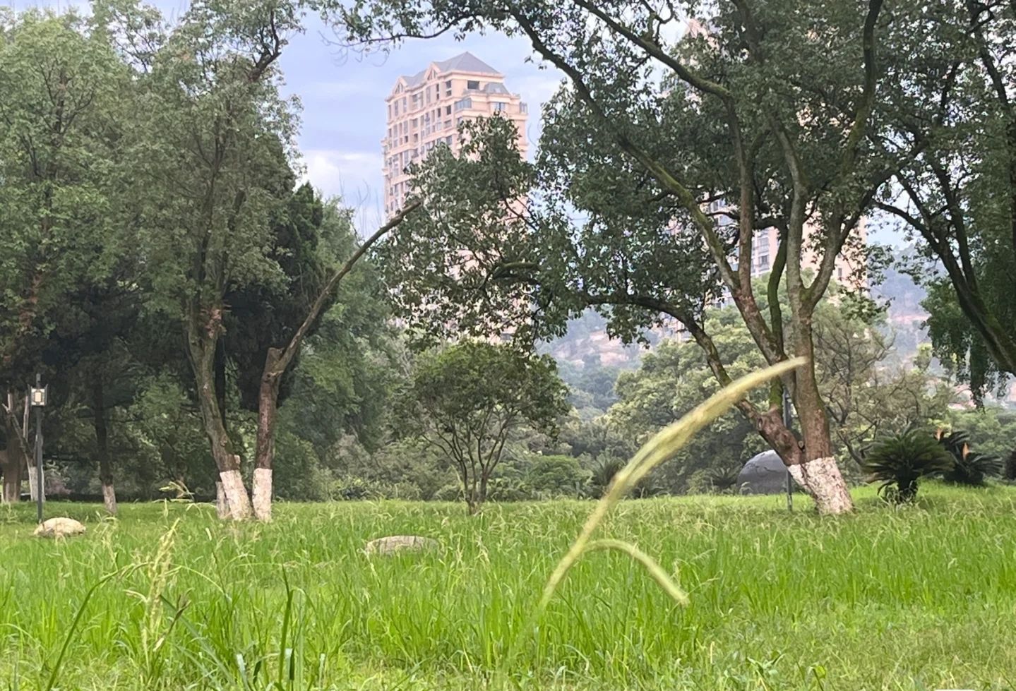 龟山公园旅行图片 3