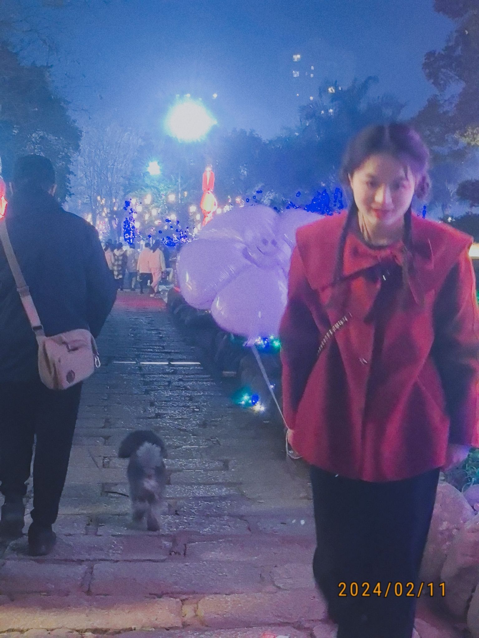 龟山公园旅行图片 2