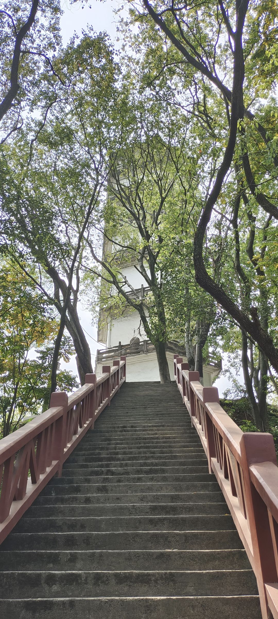 北塔公园旅行图片 1