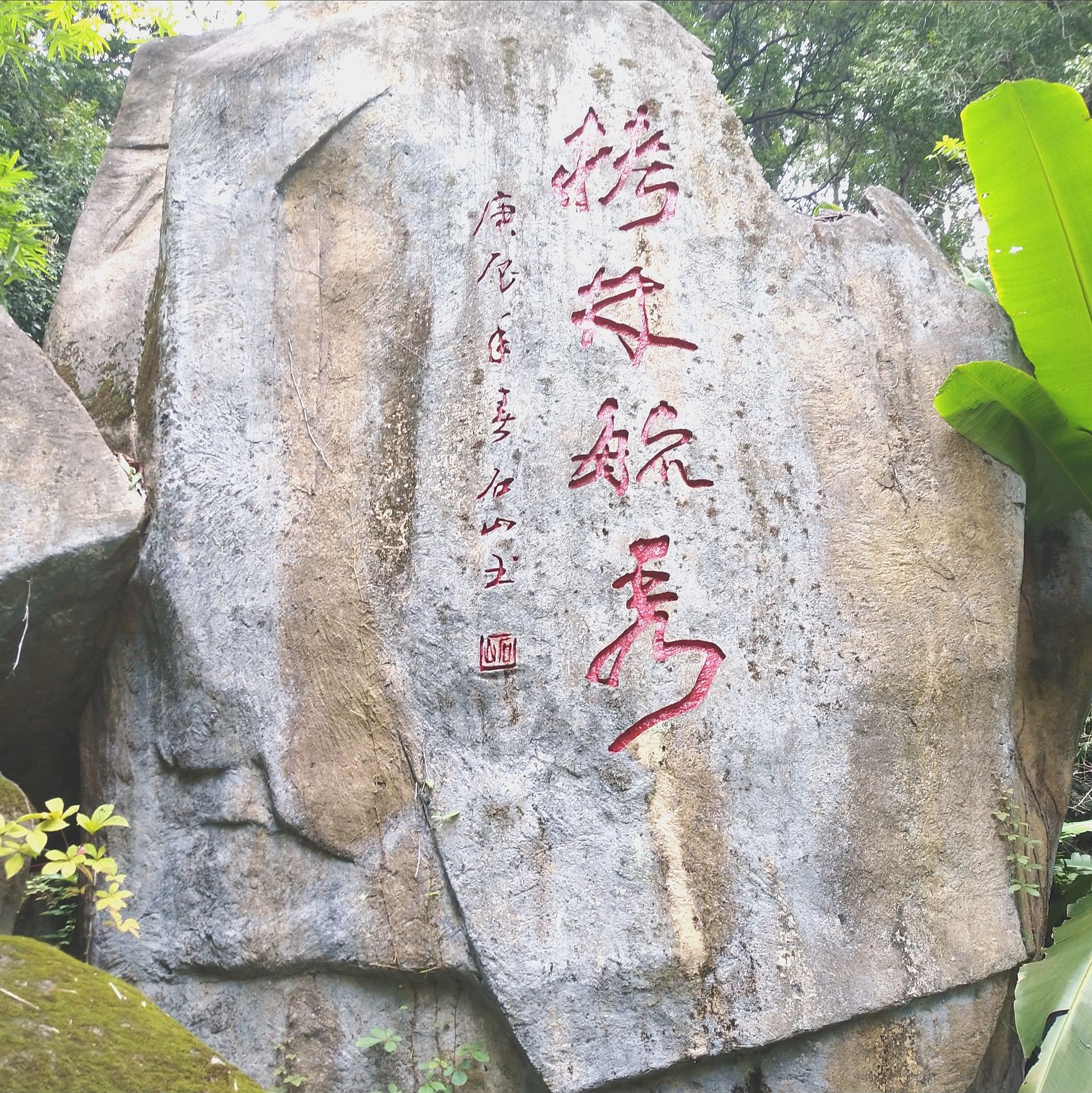 三元国家森林公园格氏栲景区旅行图片 3