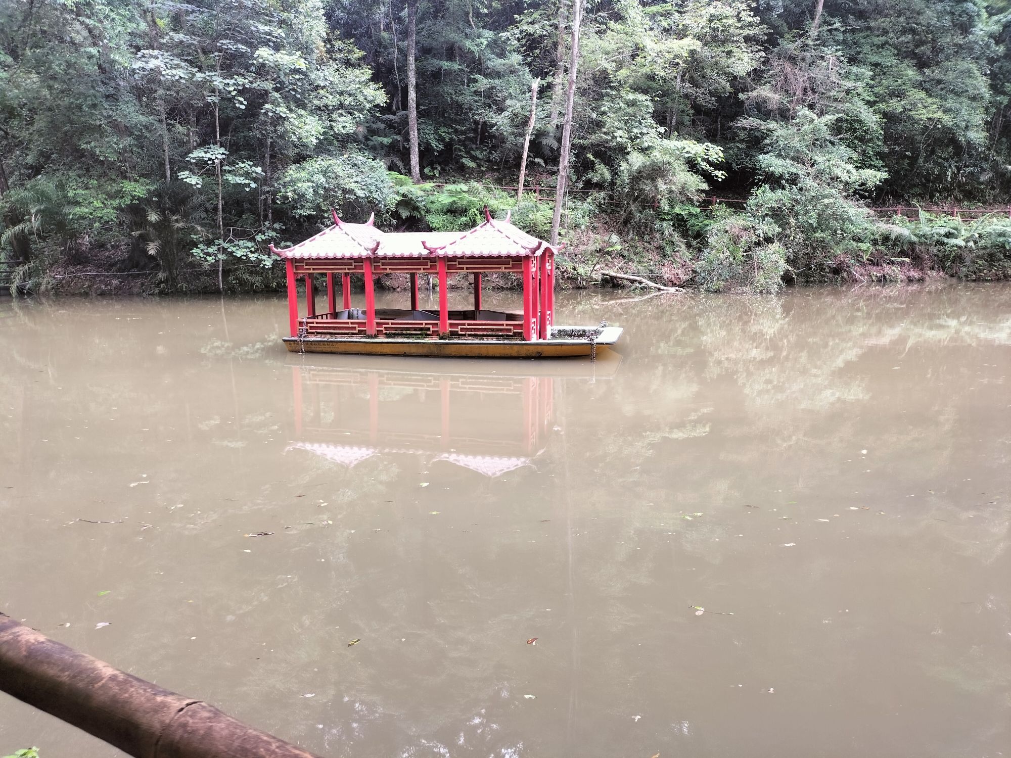 三元国家森林公园格氏栲景区旅行图片 3