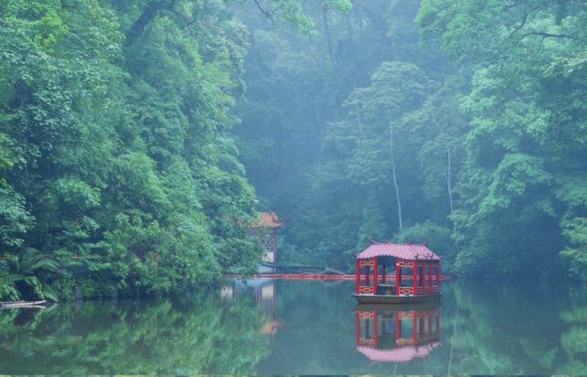 三元国家森林公园格氏栲景区旅行图片 3