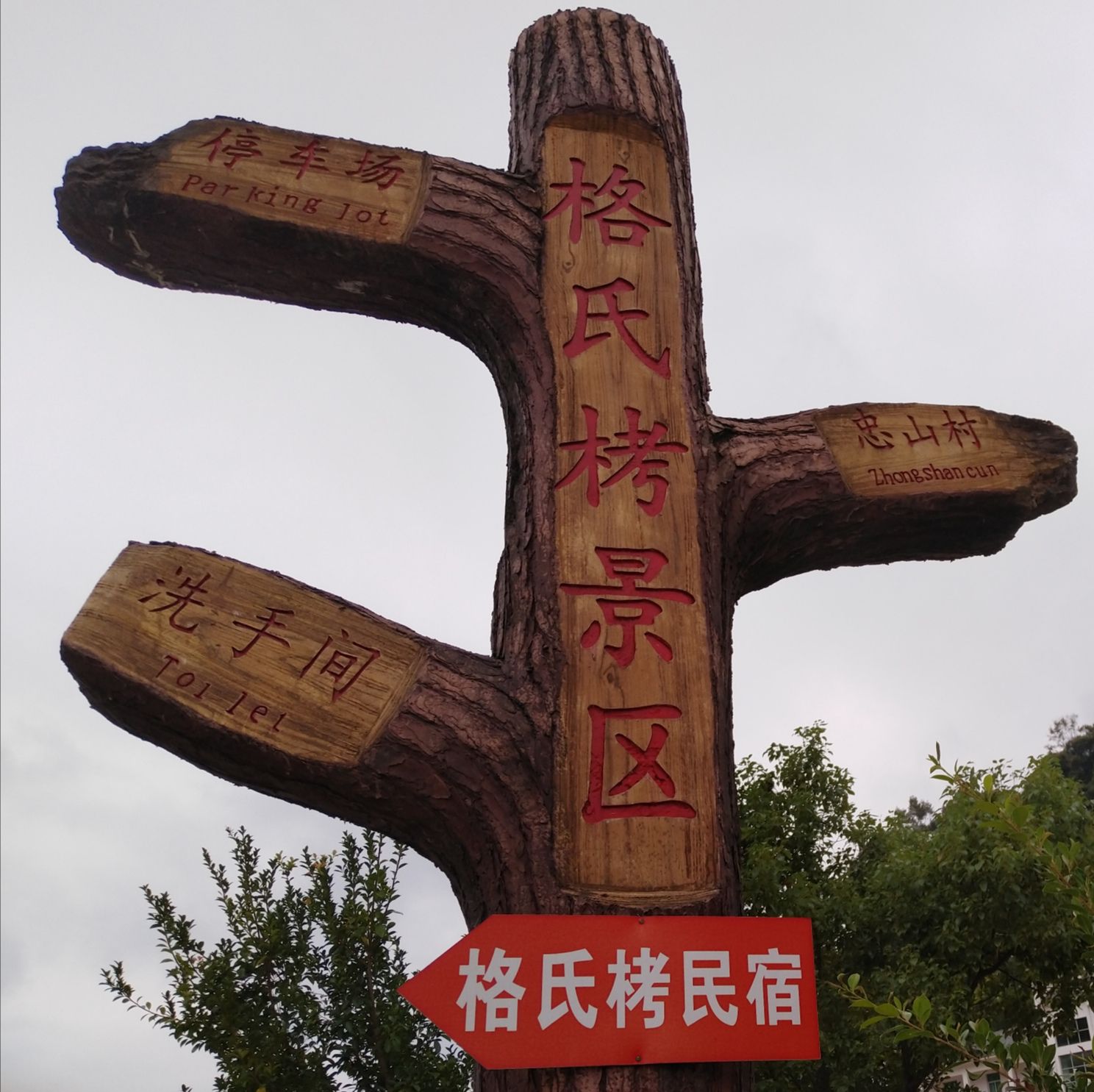三元国家森林公园格氏栲景区旅行图片 1