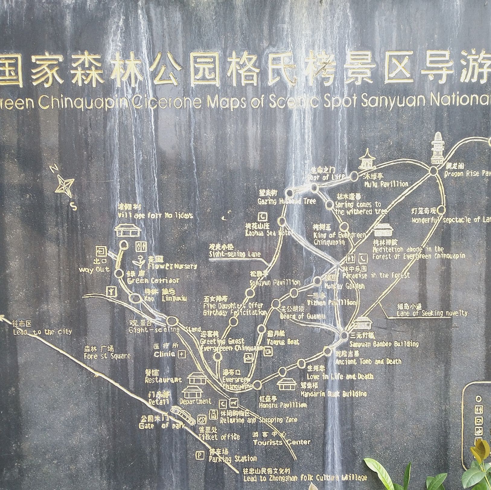 三元国家森林公园格氏栲景区旅行图片 2