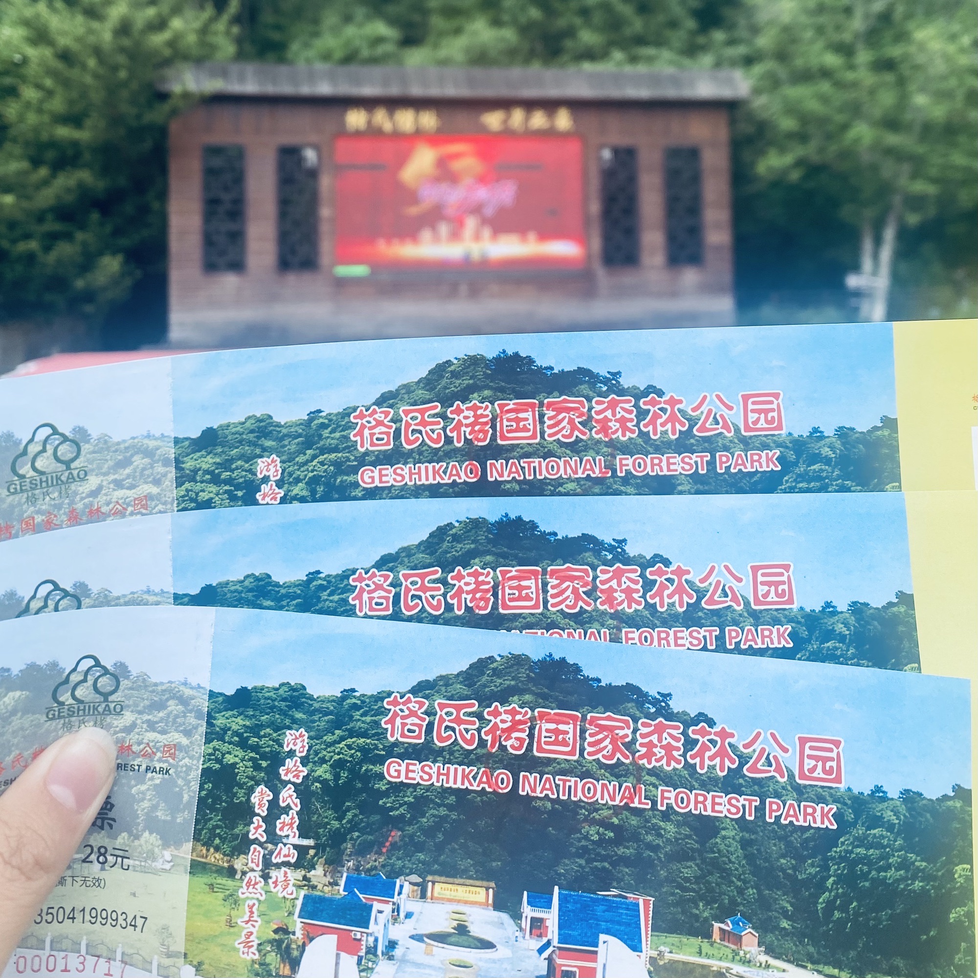 三元国家森林公园格氏栲景区旅行图片 1