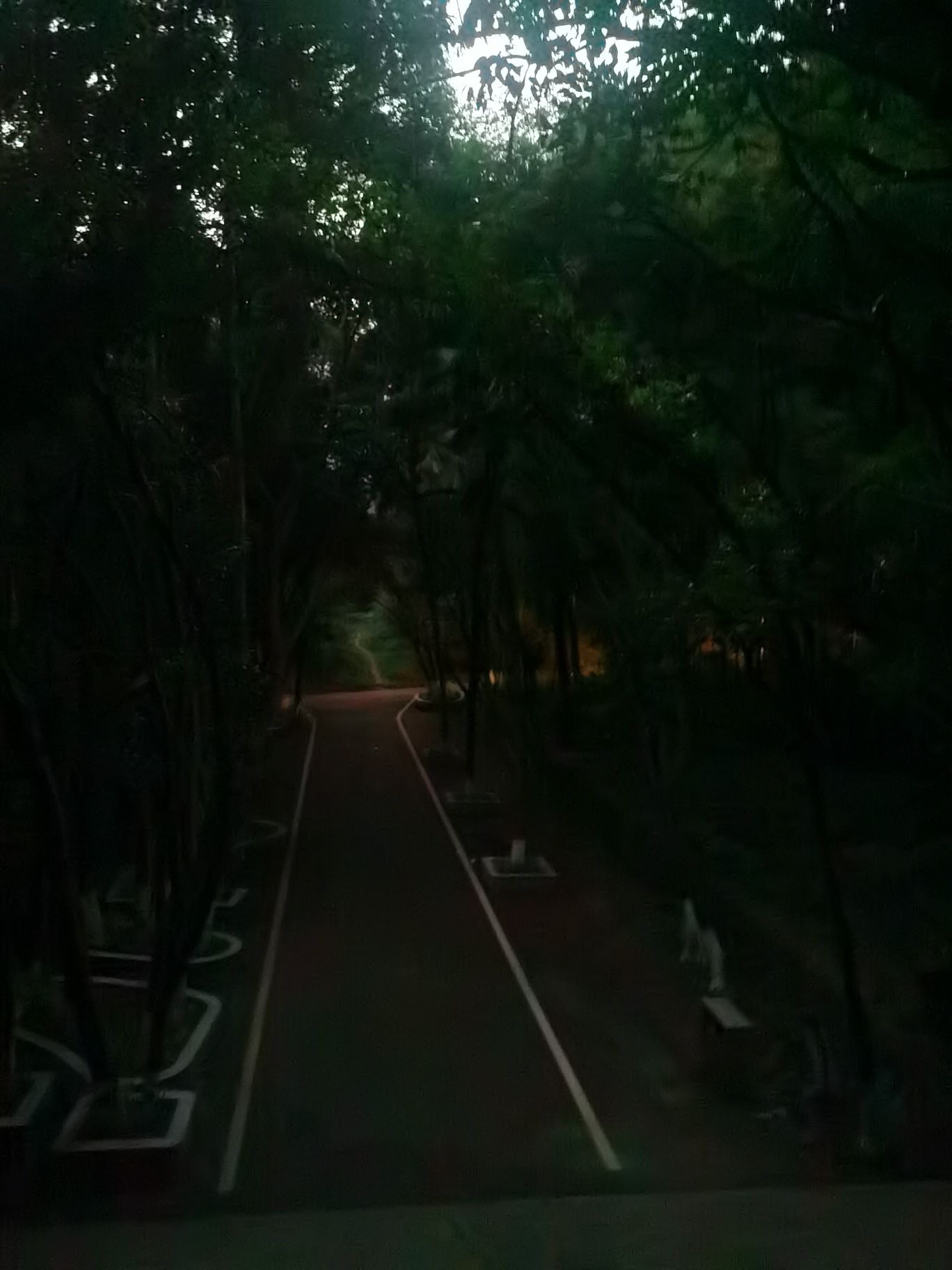 白岩公园旅行图片 2