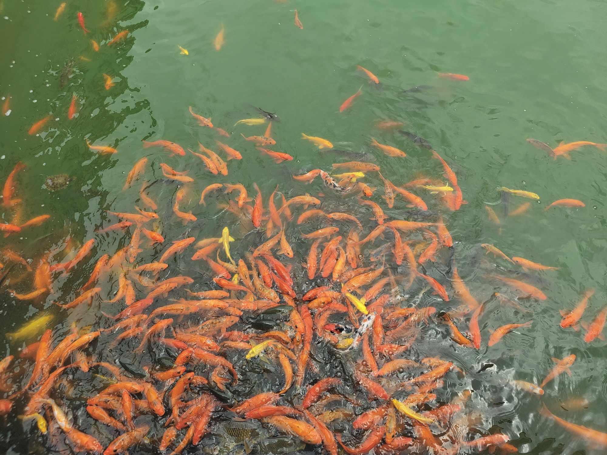 灵台山旅行图片 3