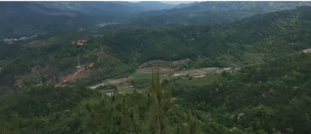 灵台山旅行图片 3
