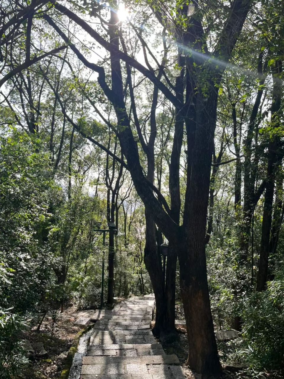 麒麟山公园旅行图片 1