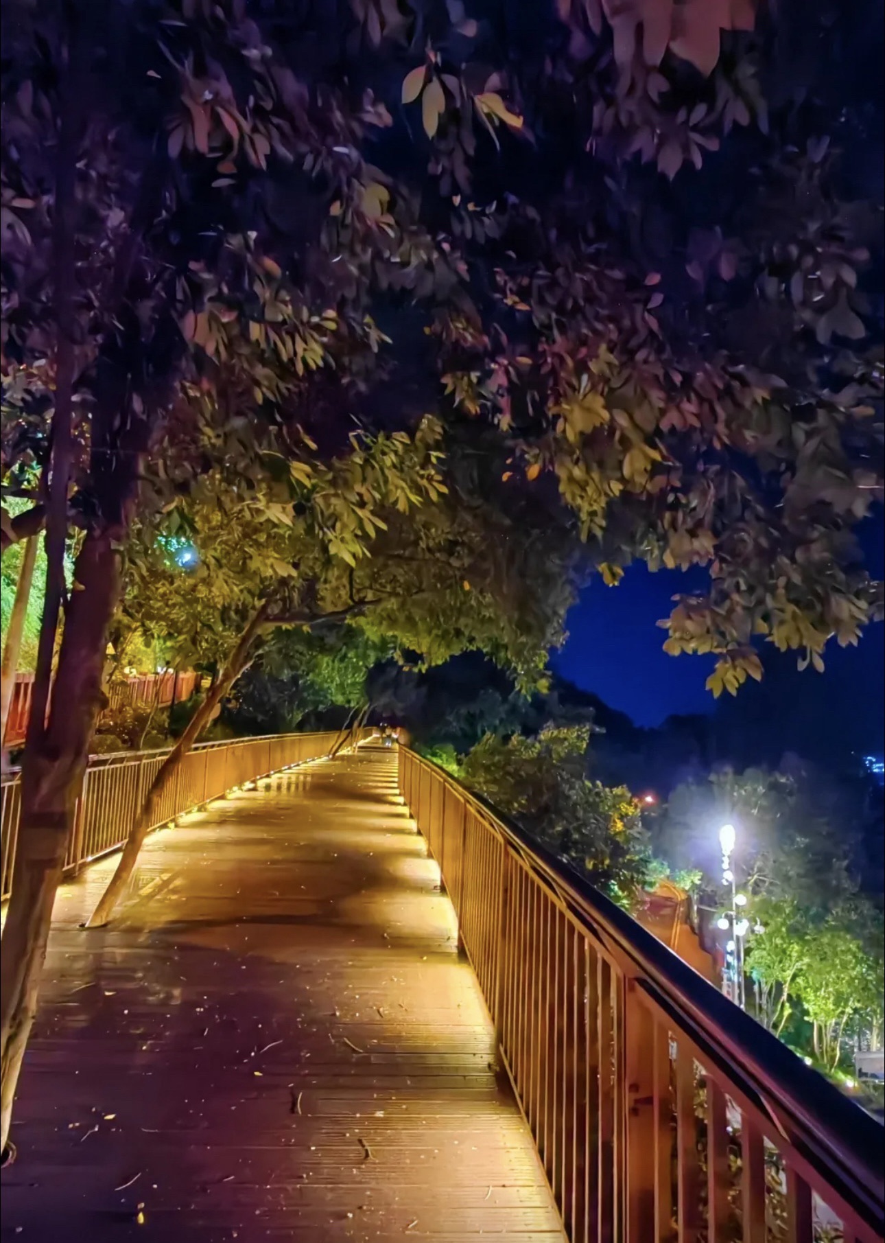 麒麟山公园旅行图片 2