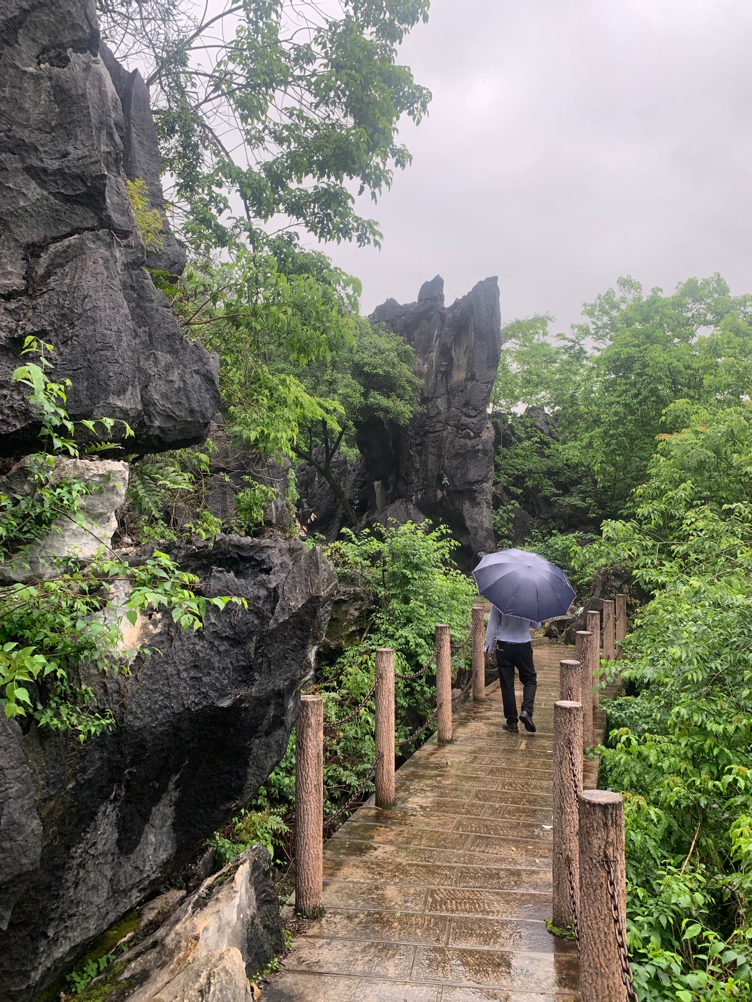 鳞隐石林旅行图片 1