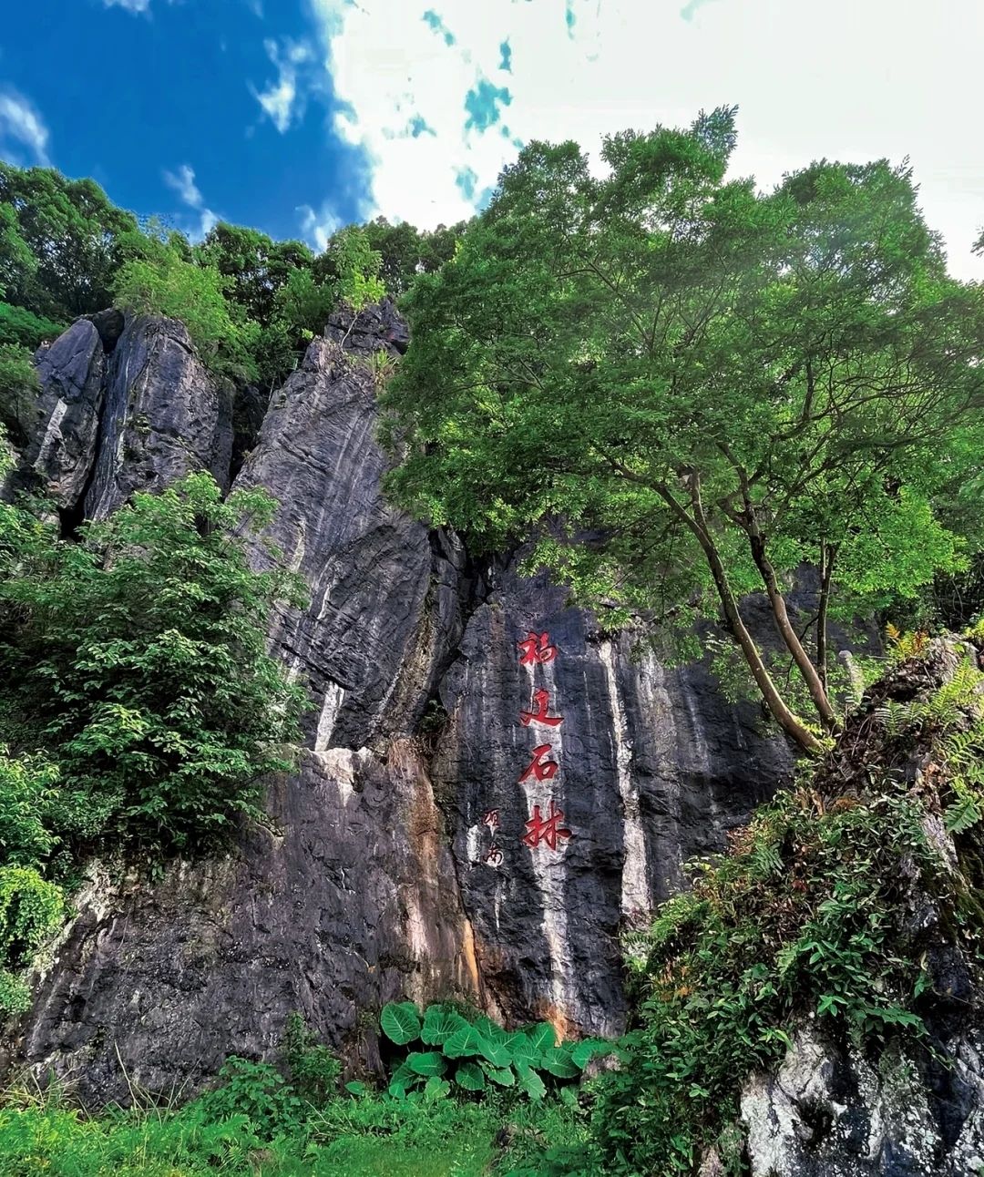 鳞隐石林旅行图片 1