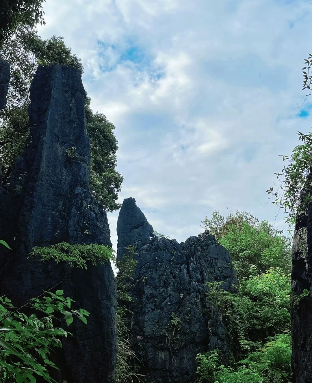 鳞隐石林旅行图片 3