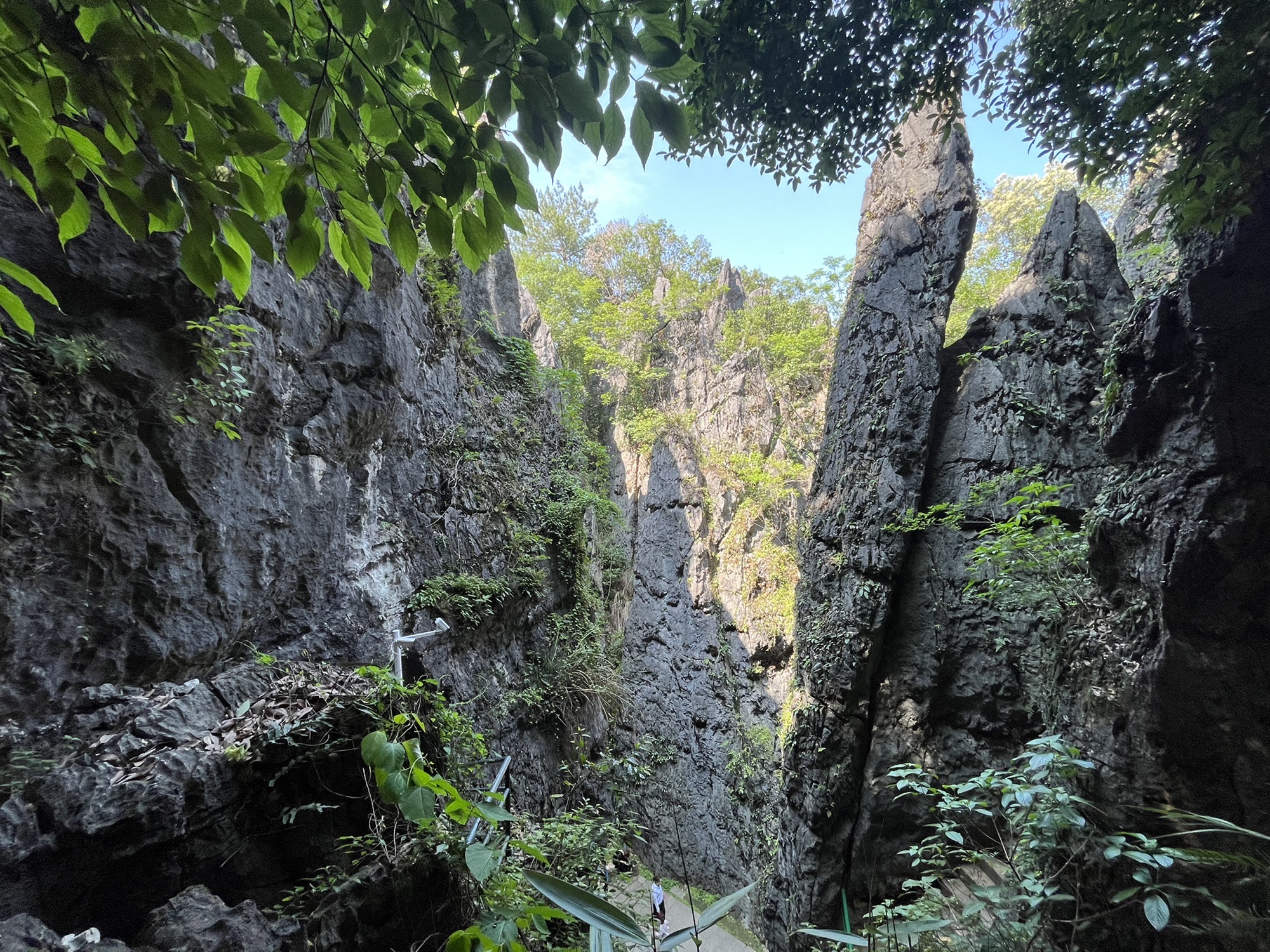 鳞隐石林旅行图片 3