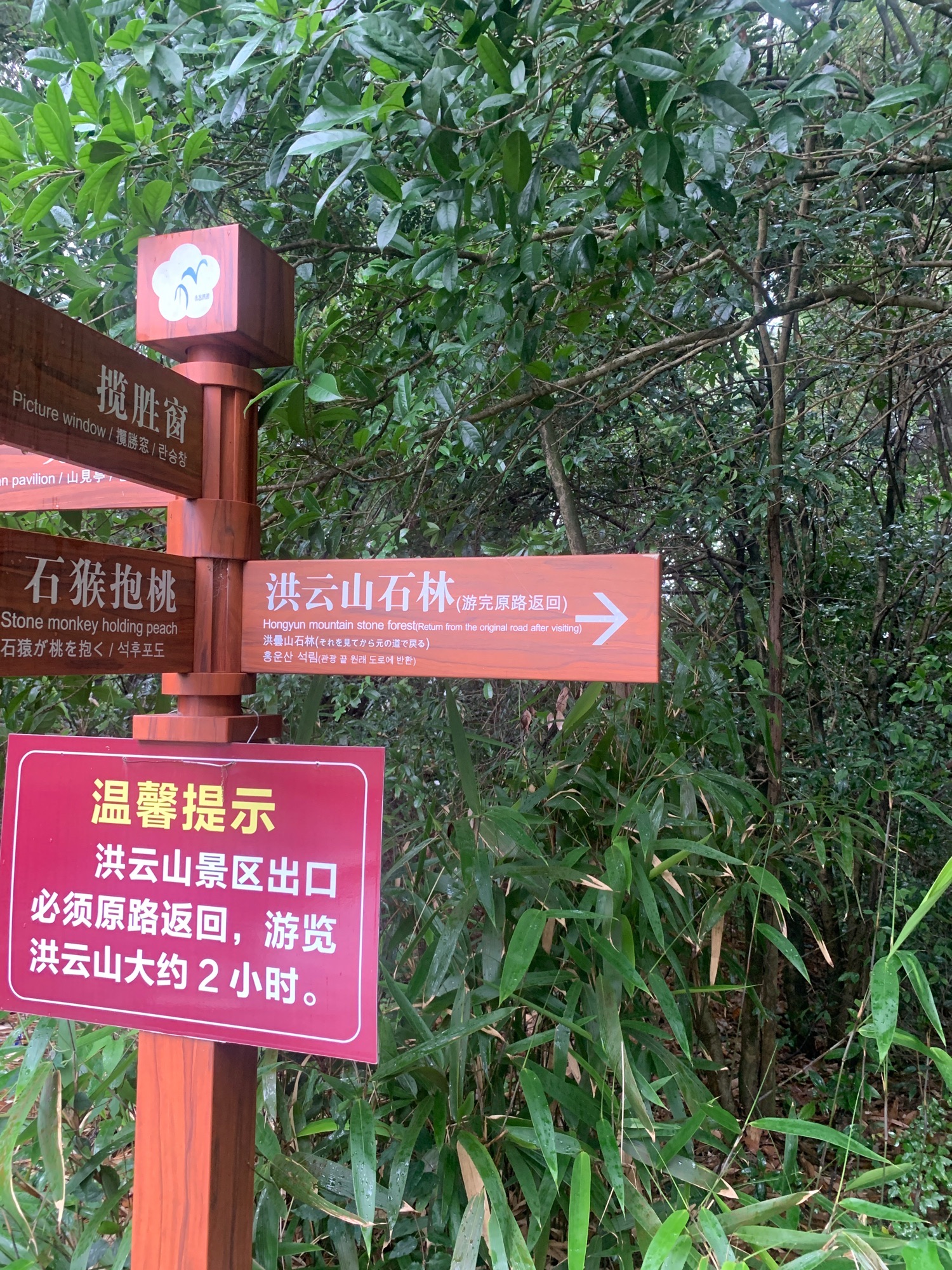 鳞隐石林旅行图片 2