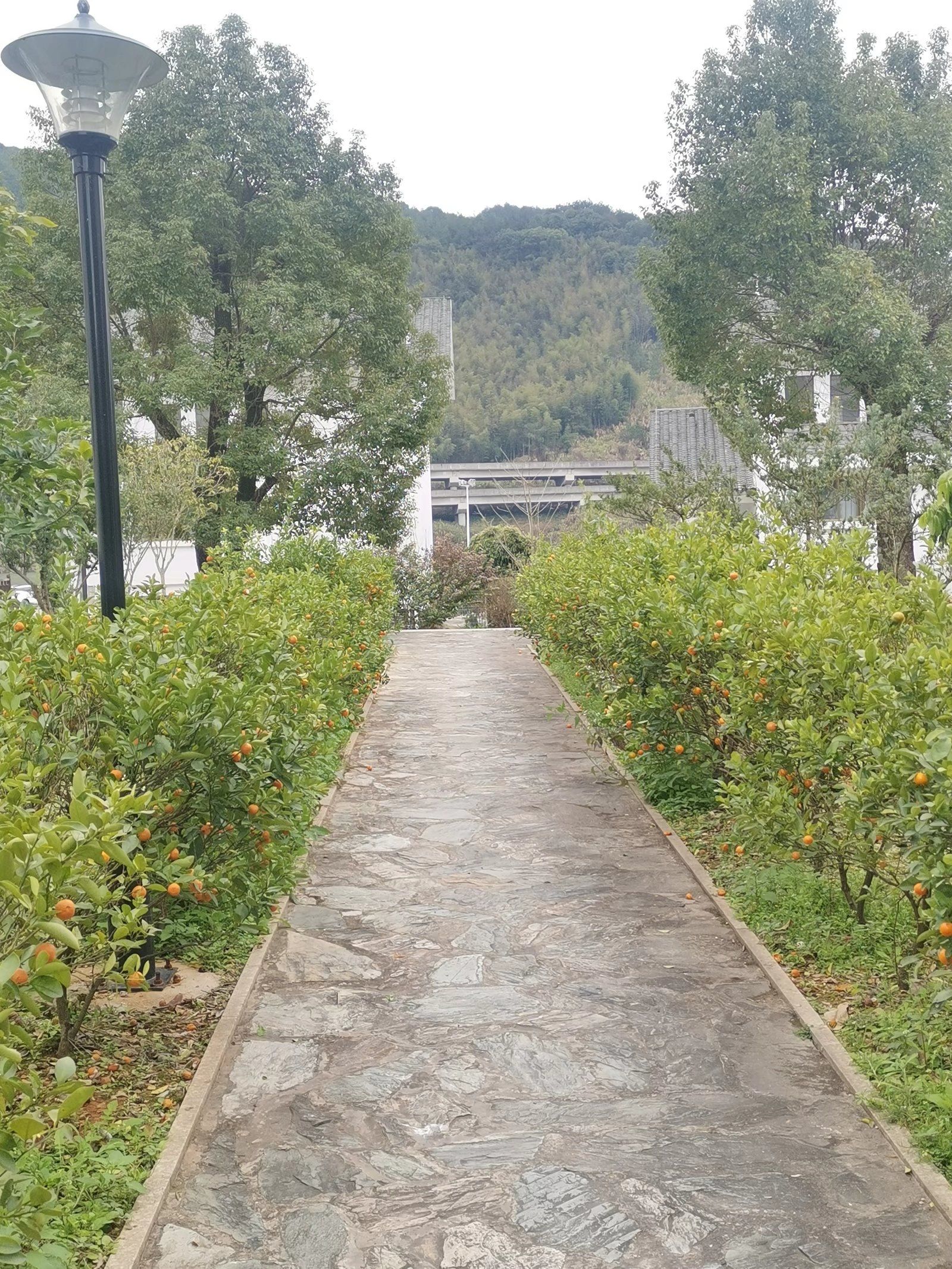 霞鹤生态农庄旅行图片 2
