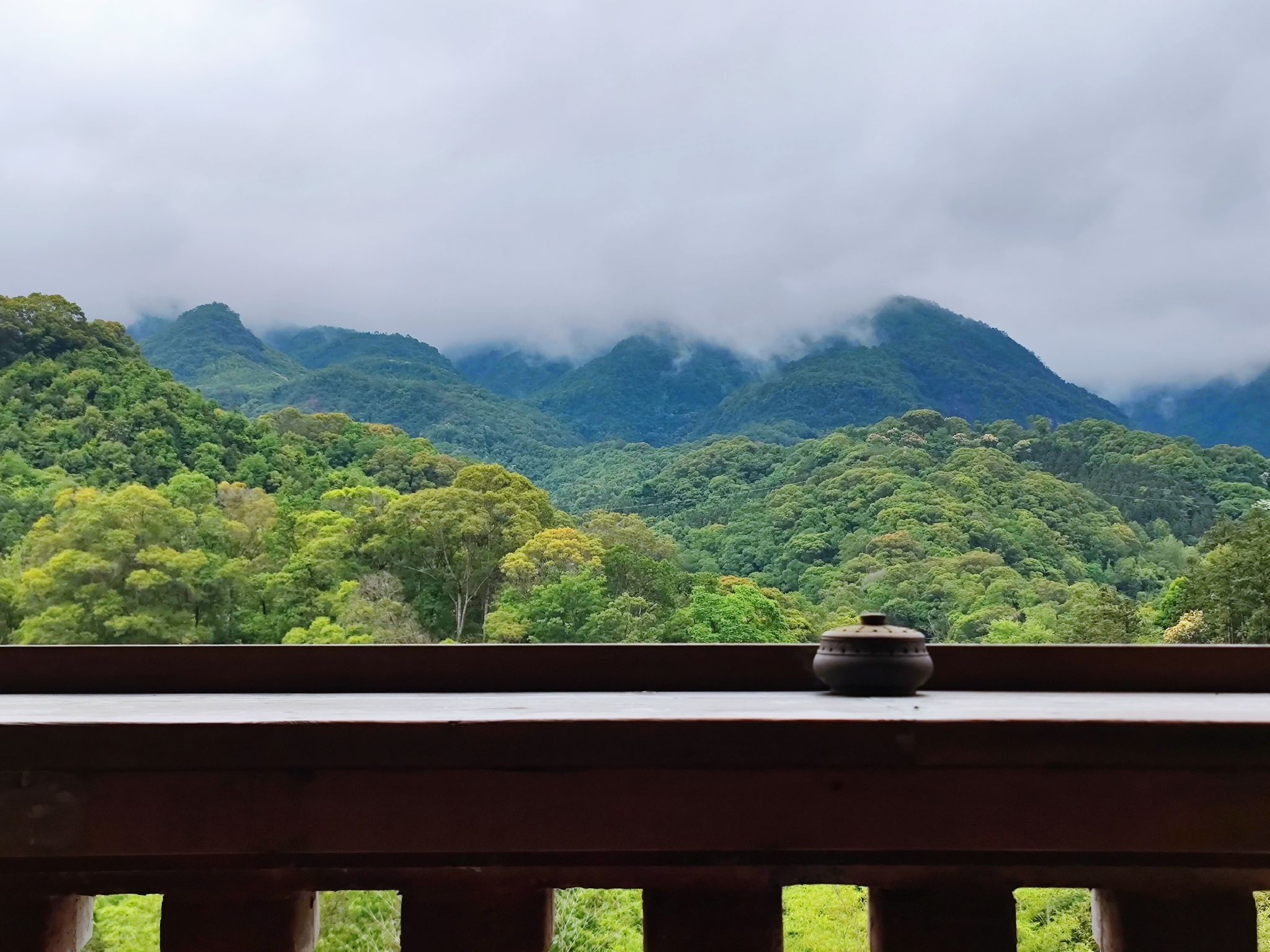 金丝湾森林公园旅行图片 1