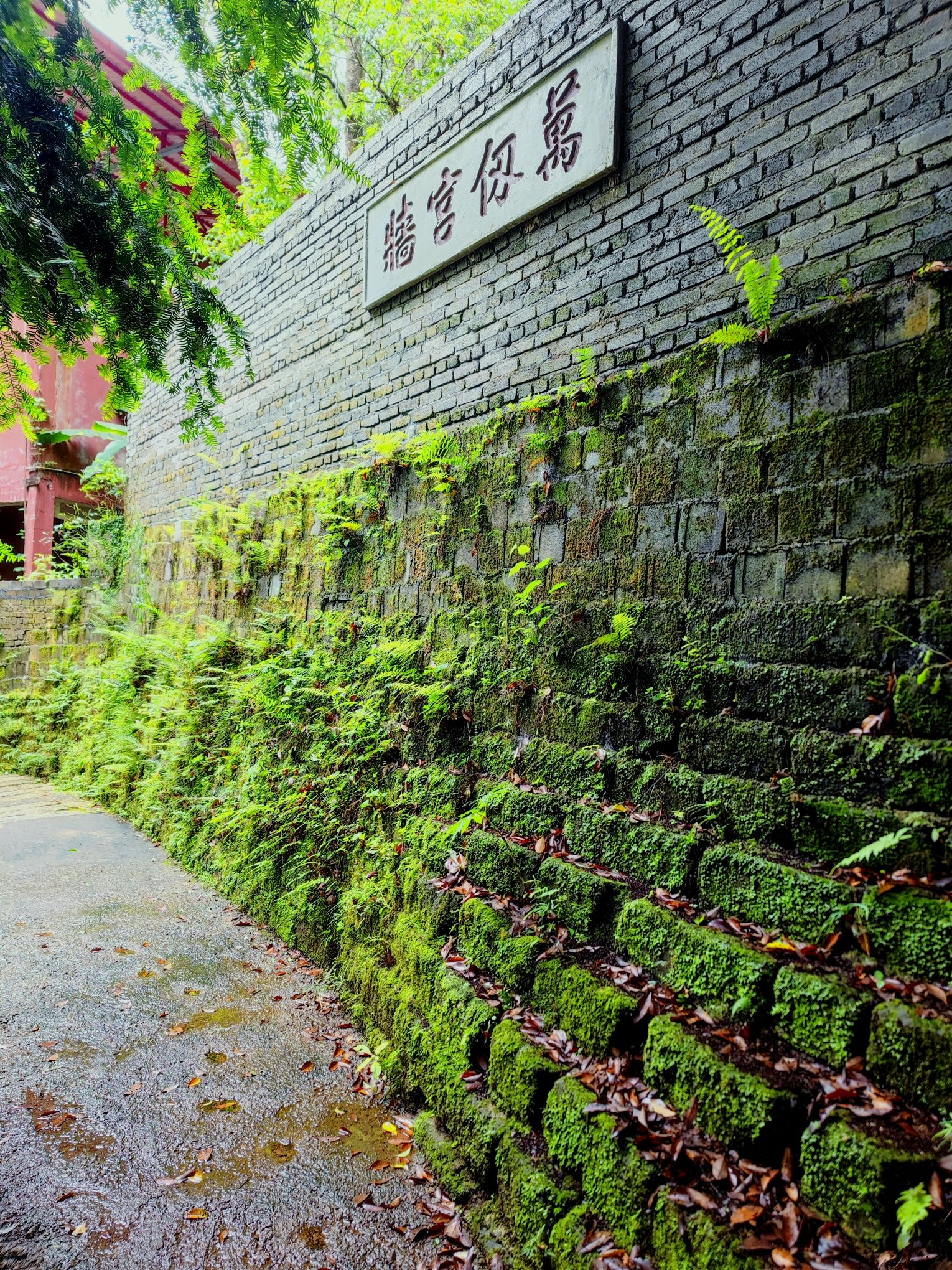 金丝湾森林公园旅行图片 3