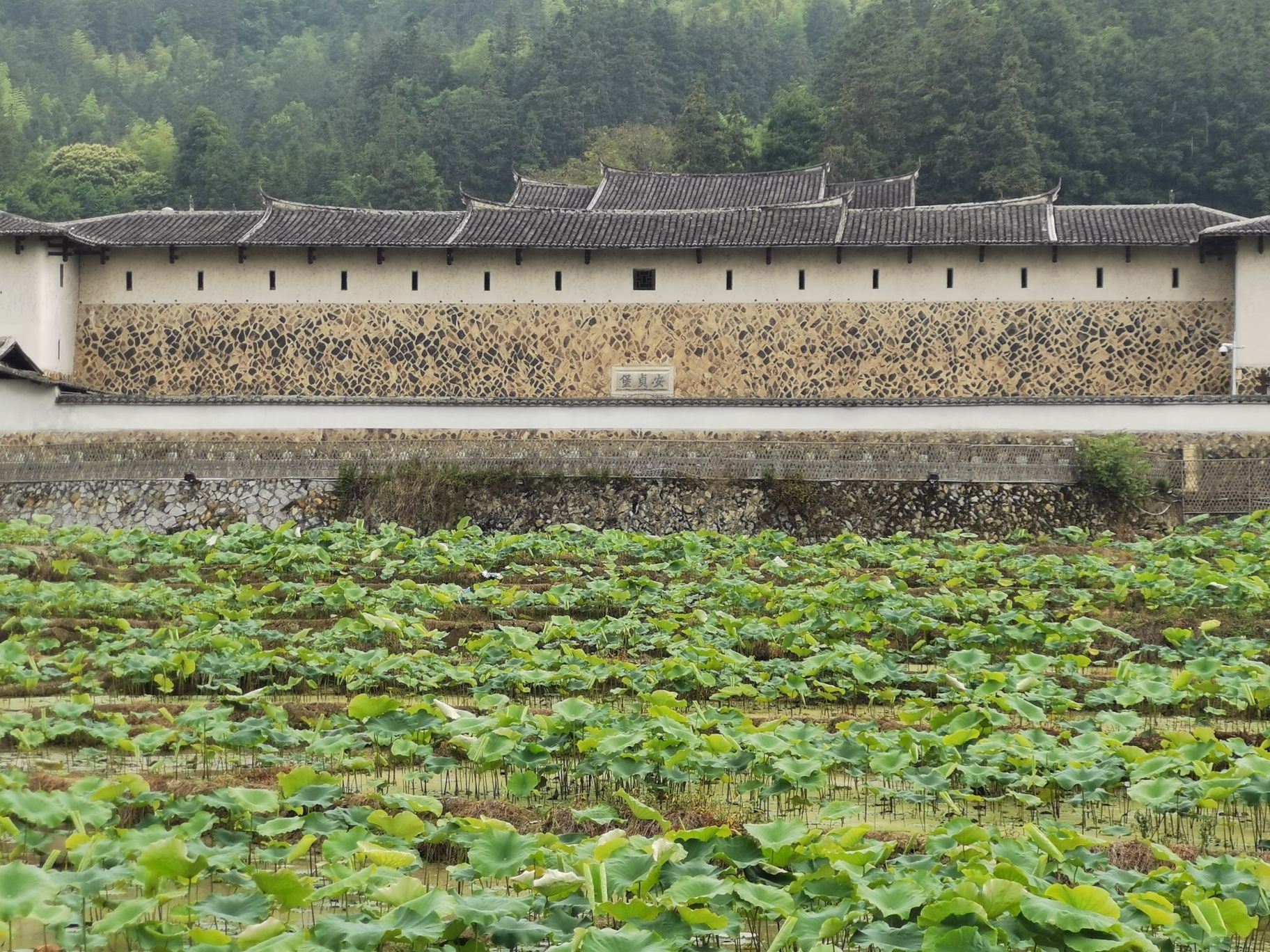 安贞堡旅行图片 1