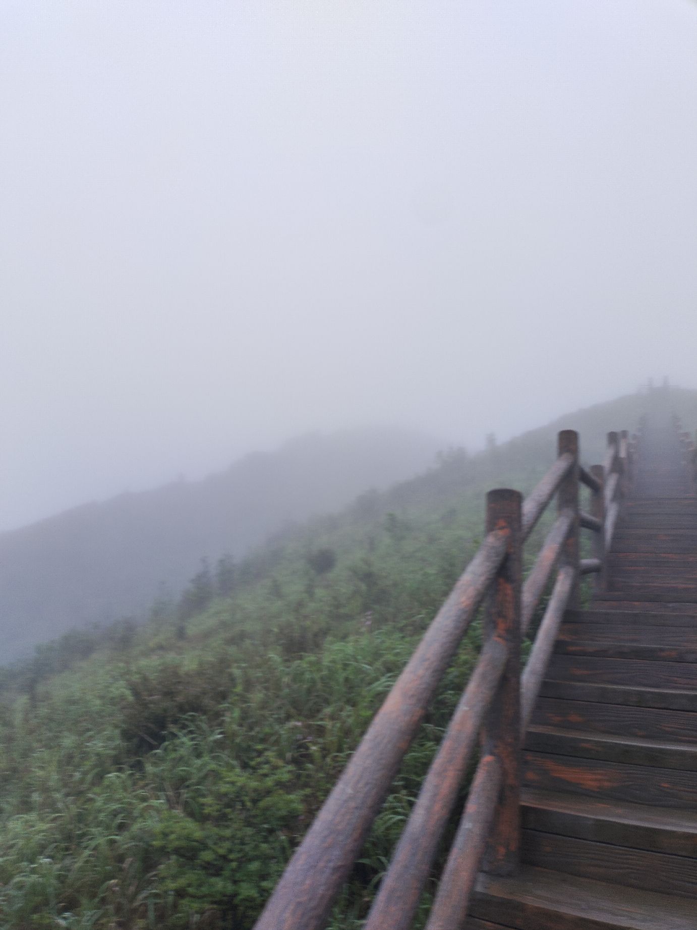 大丰山景区旅行图片 3