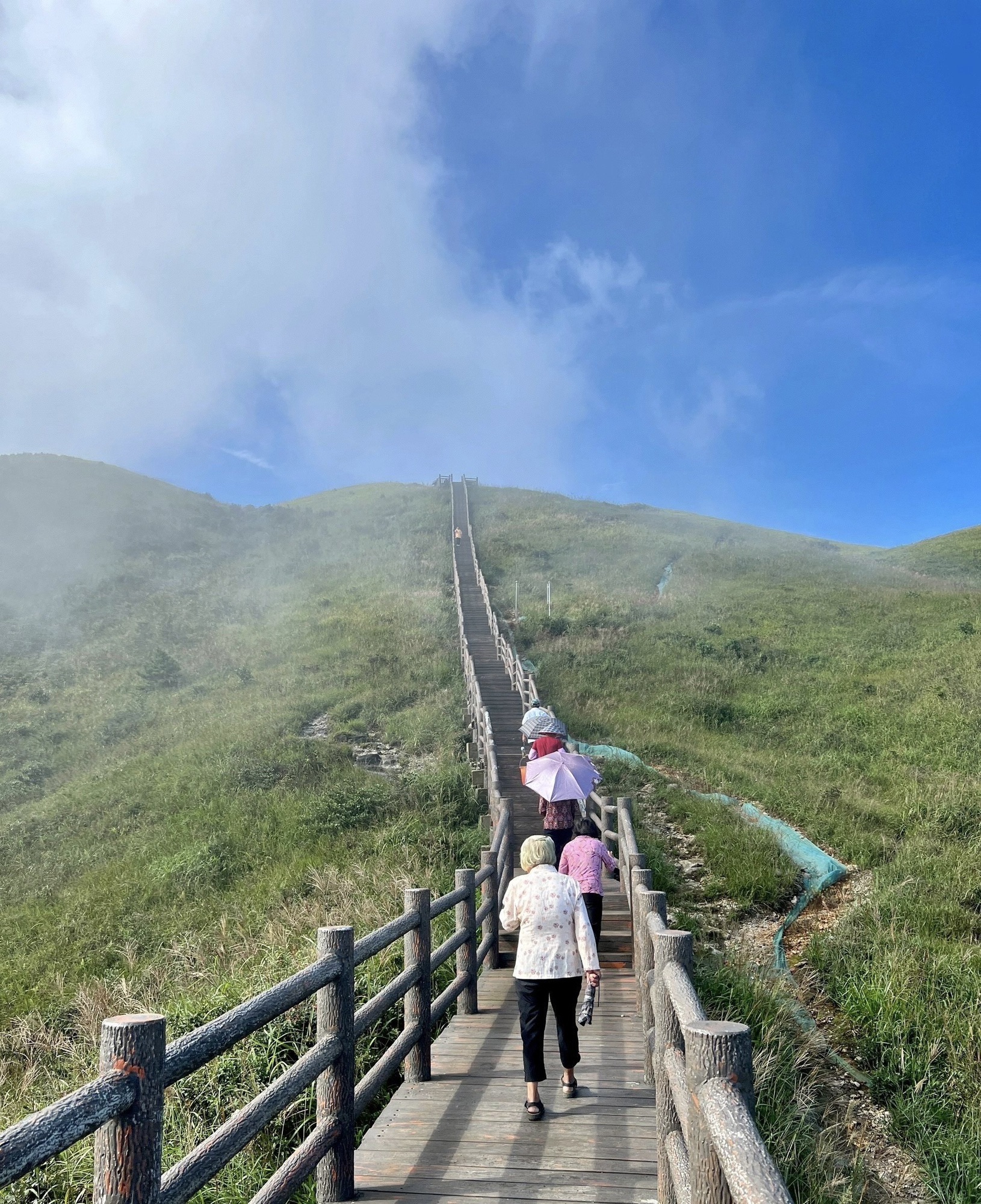 大丰山景区旅行图片 3