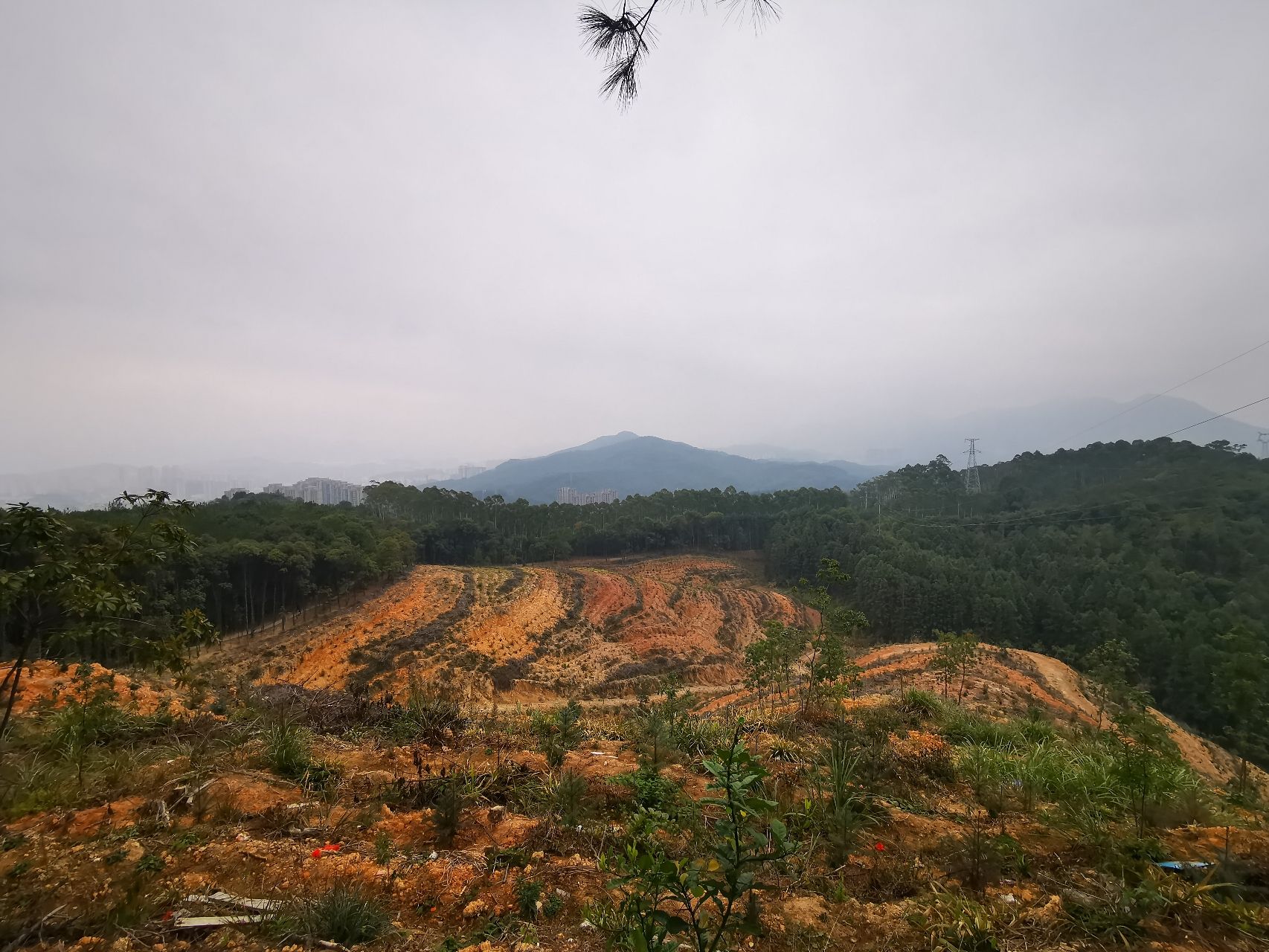虎形山森林公园旅行图片 2