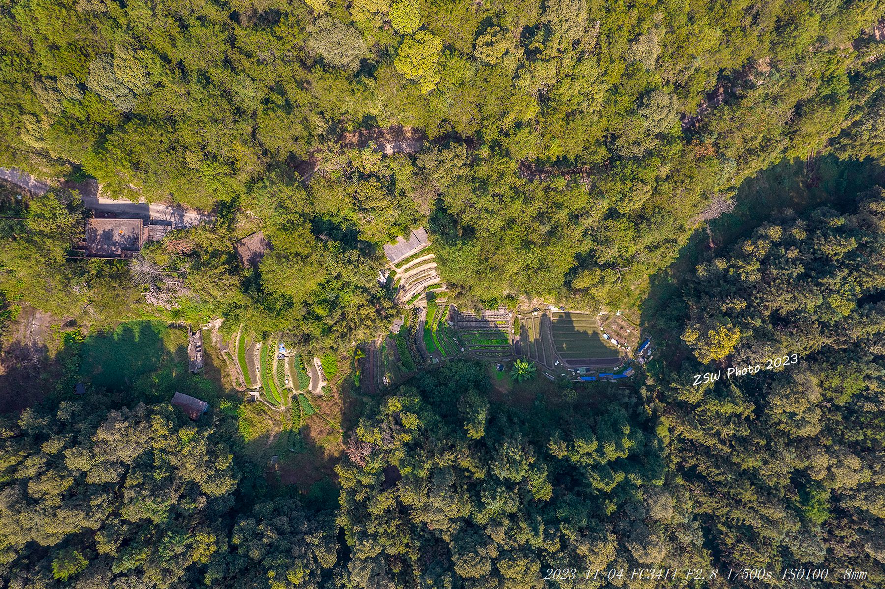 虎形山森林公园旅行图片 3