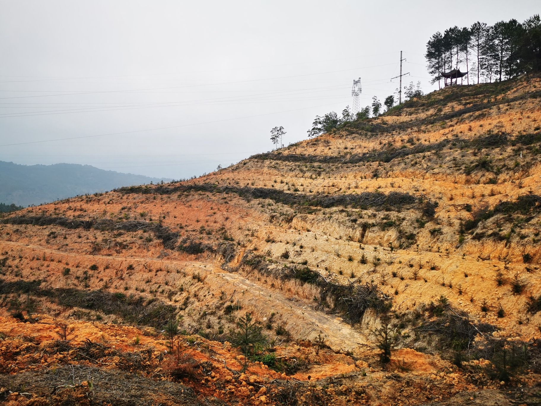 虎形山森林公园旅行图片 1