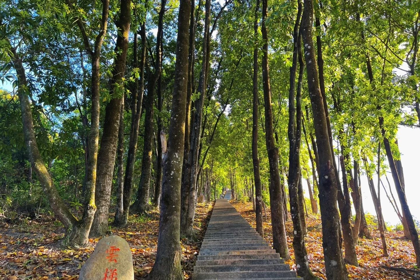 虎形山森林公园旅行图片 1
