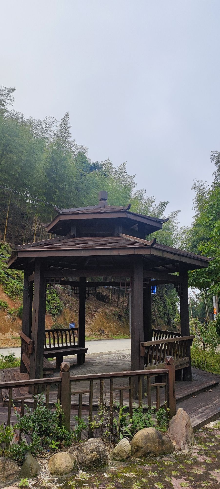 九龙竹海国家森林公园旅行图片 1