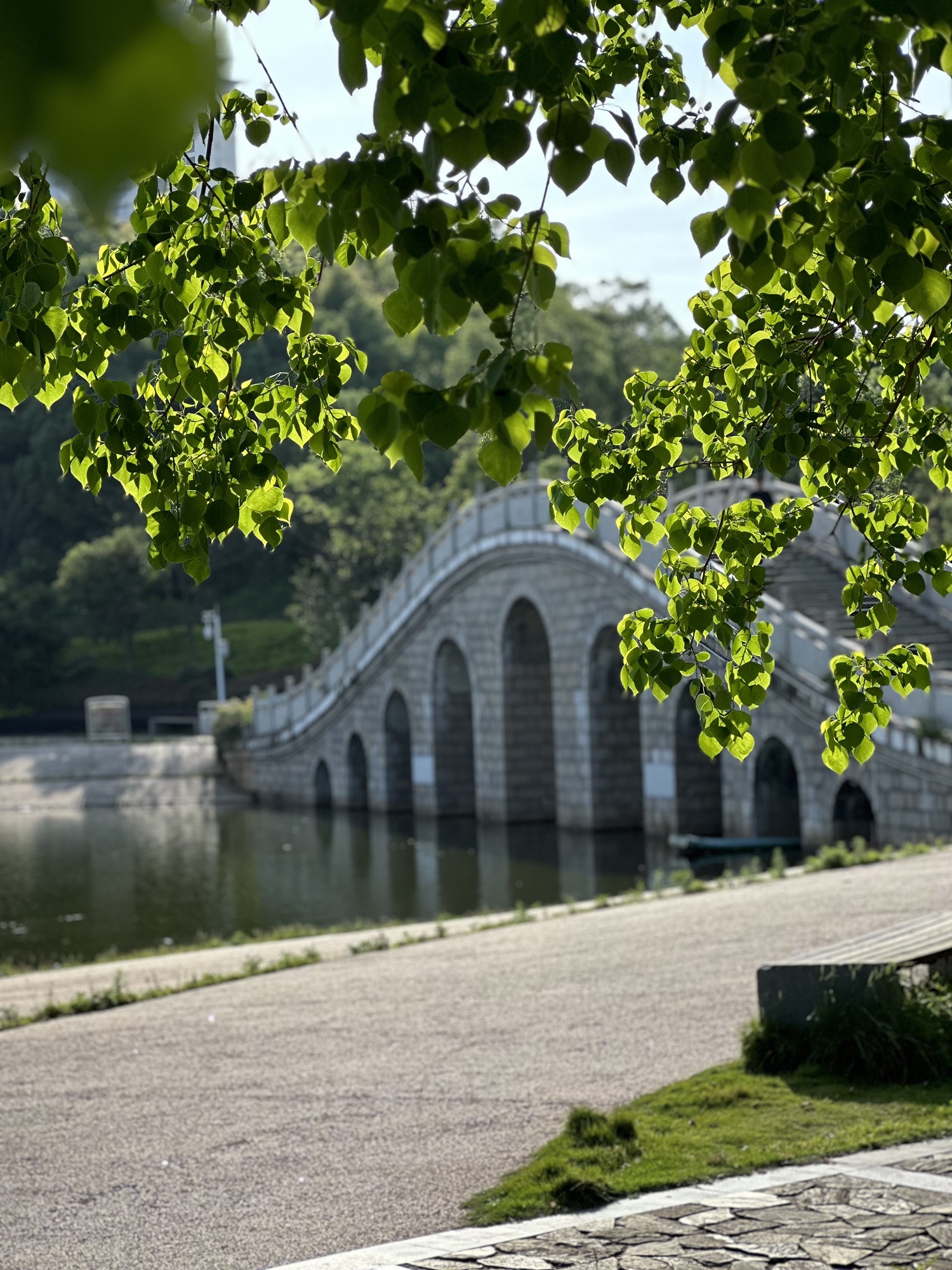 龙湖公园