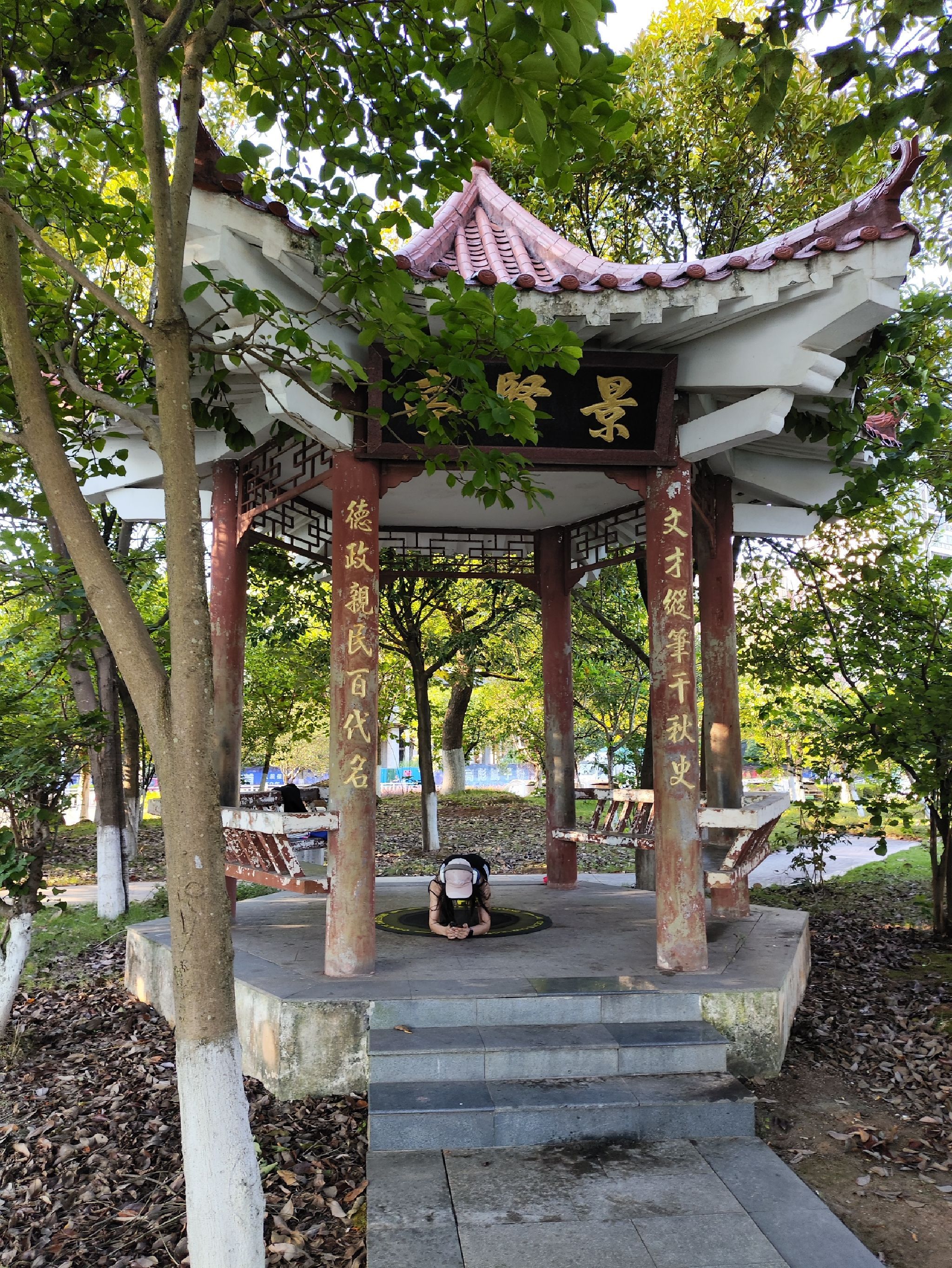 龙湖公园旅行图片 3