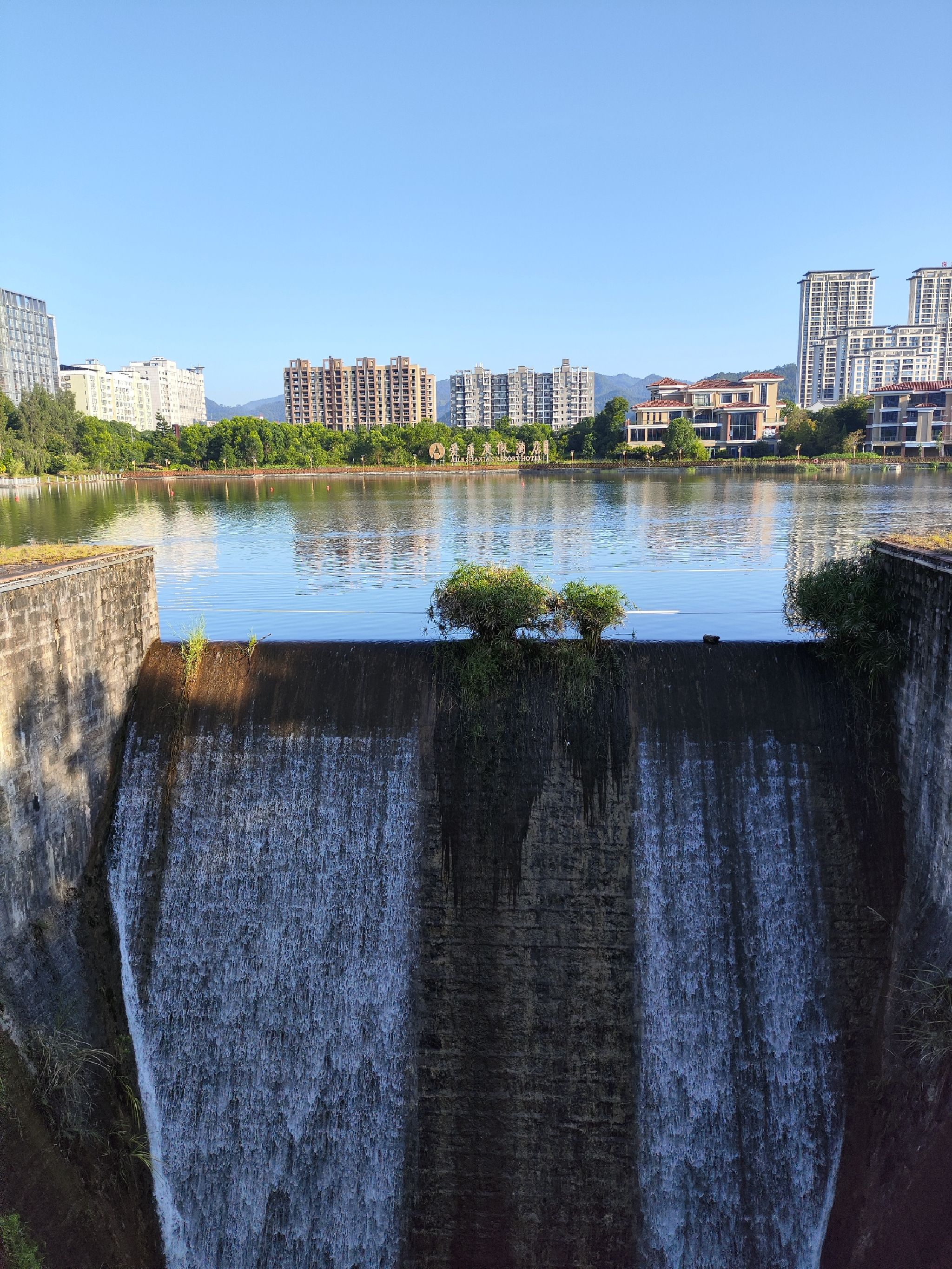 龙湖公园旅行图片 1