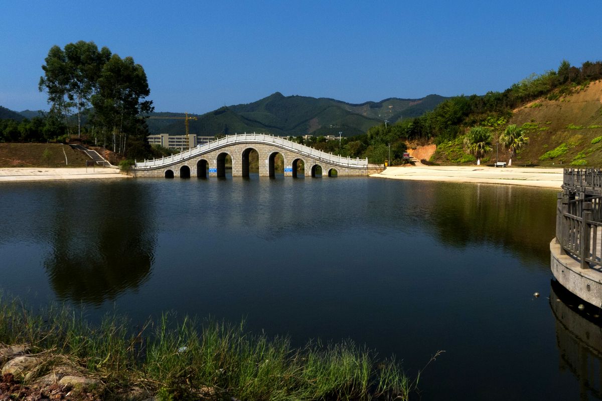 龙湖公园旅行图片 3