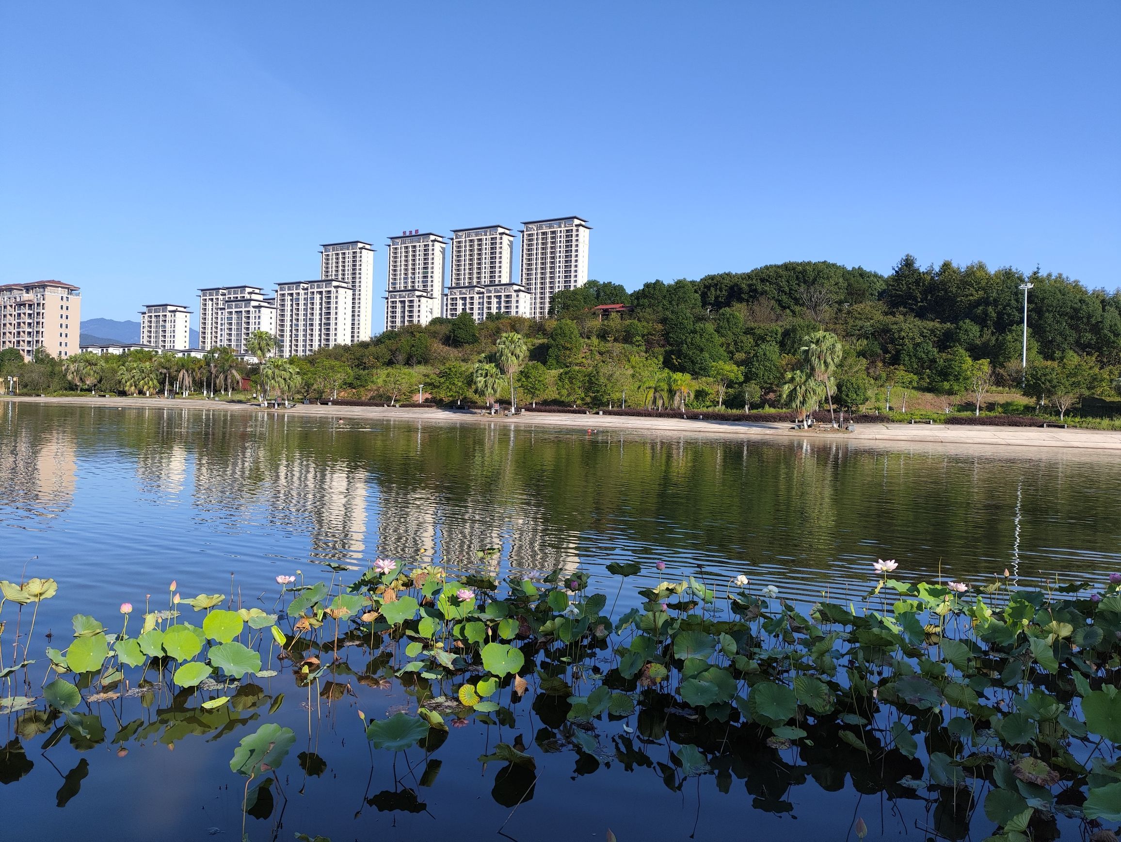 龙湖公园