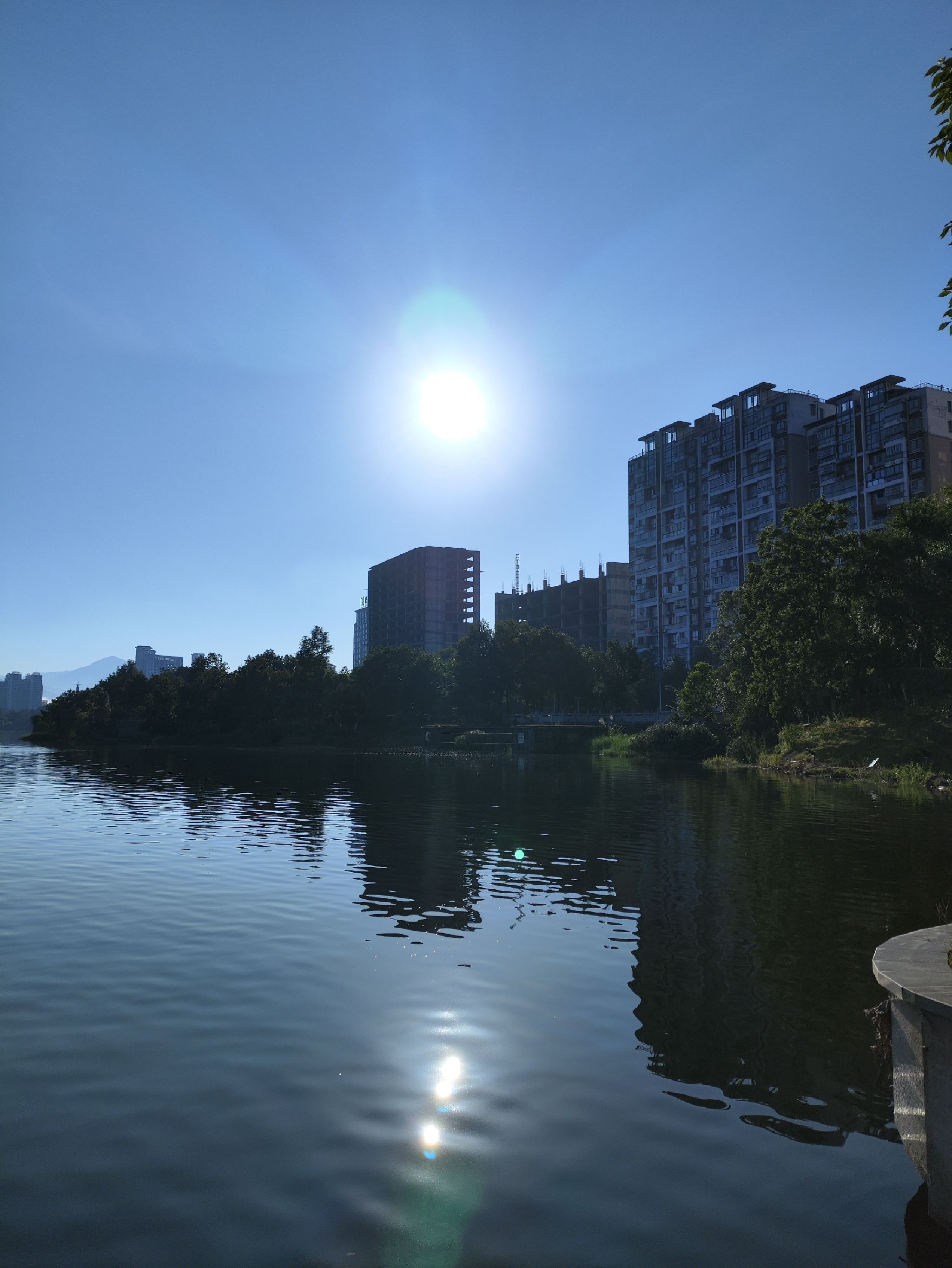 龙湖公园旅行图片 1