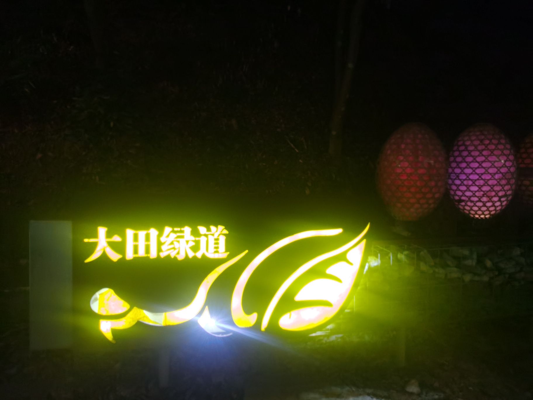 仙亭山森林公园旅行图片 2