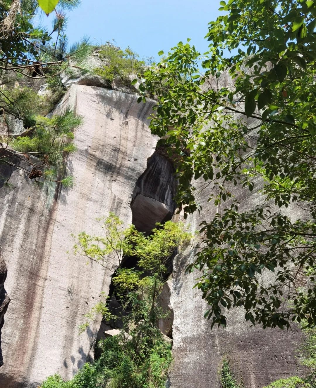 三元辛口国家森林公园旅行图片 1