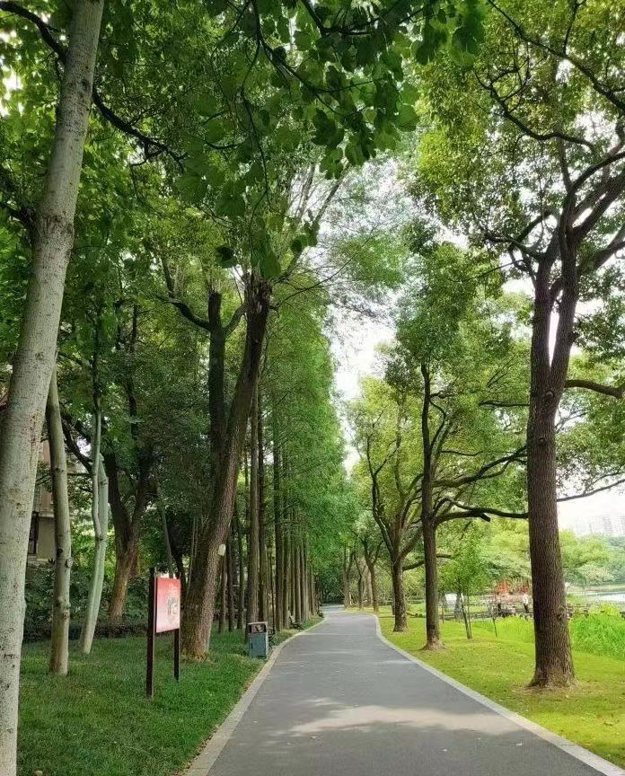 玉屏公园旅行图片 1