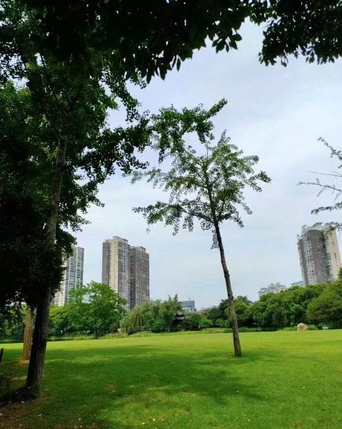 玉屏公园旅行图片 3