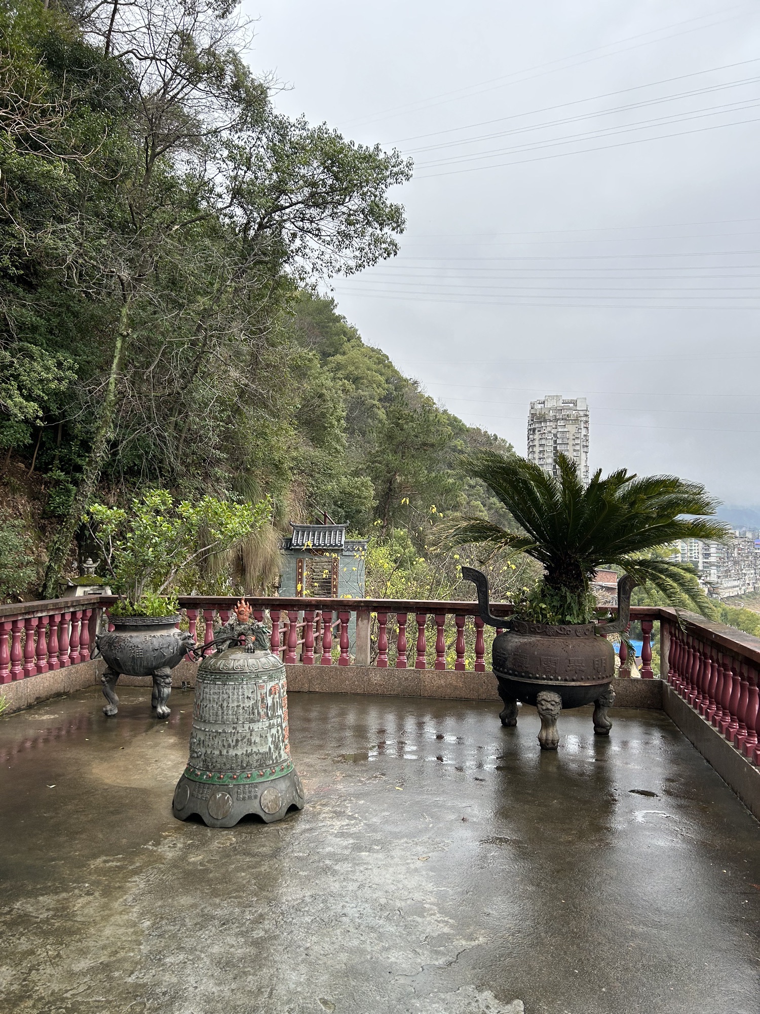 明翠阁旅行图片 3