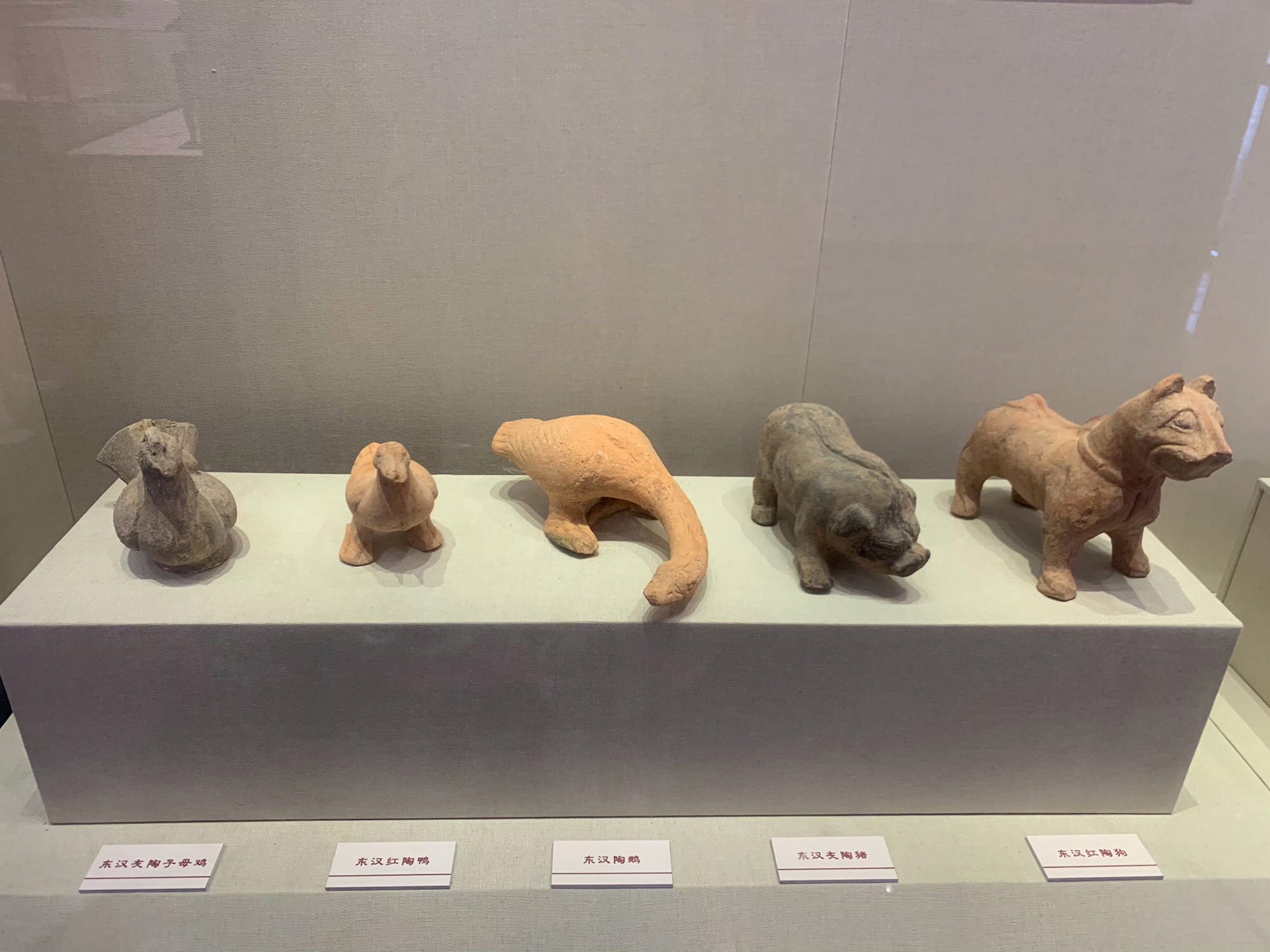 闽越王城旅行图片 3