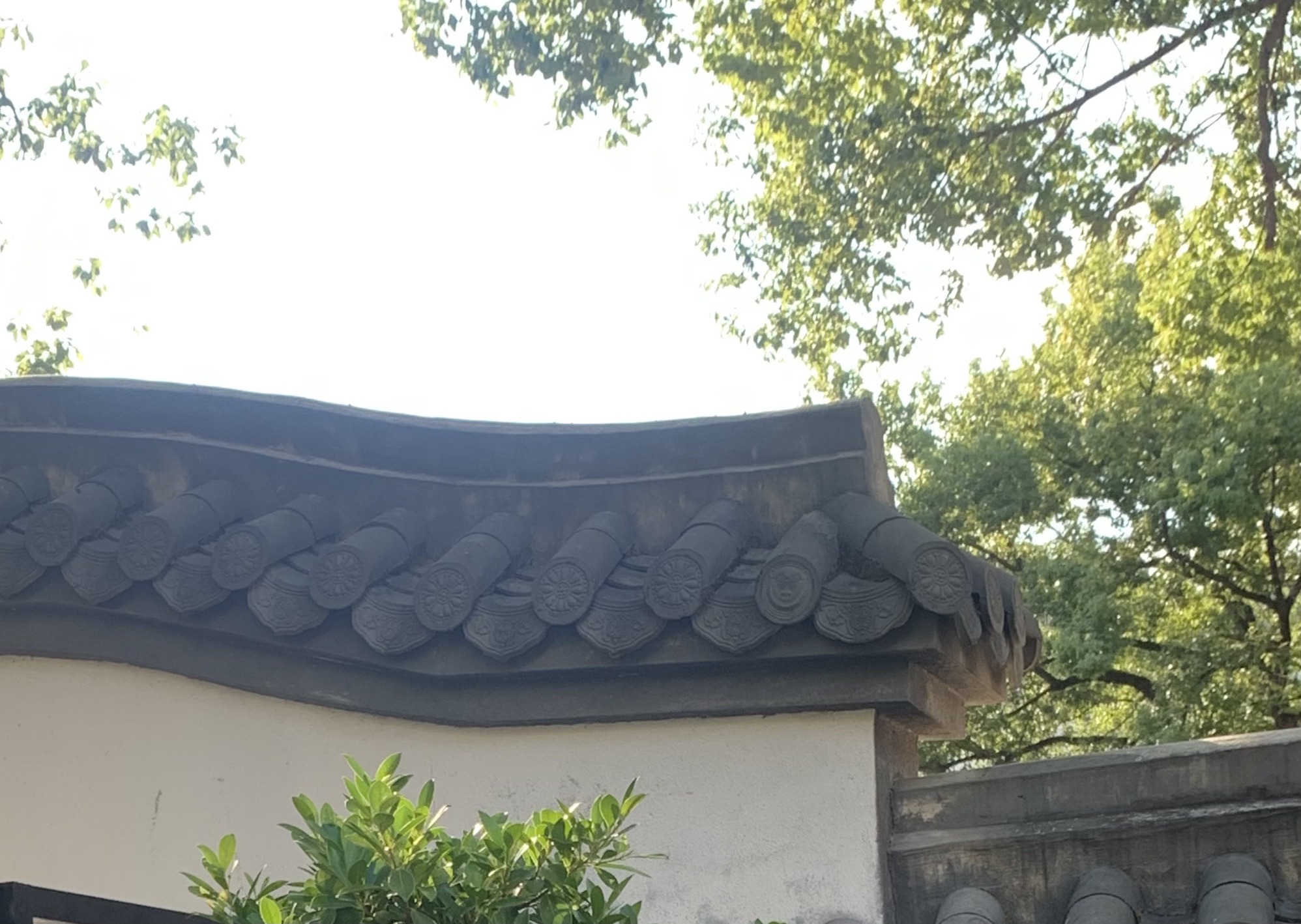 杨真公园旅行图片 3