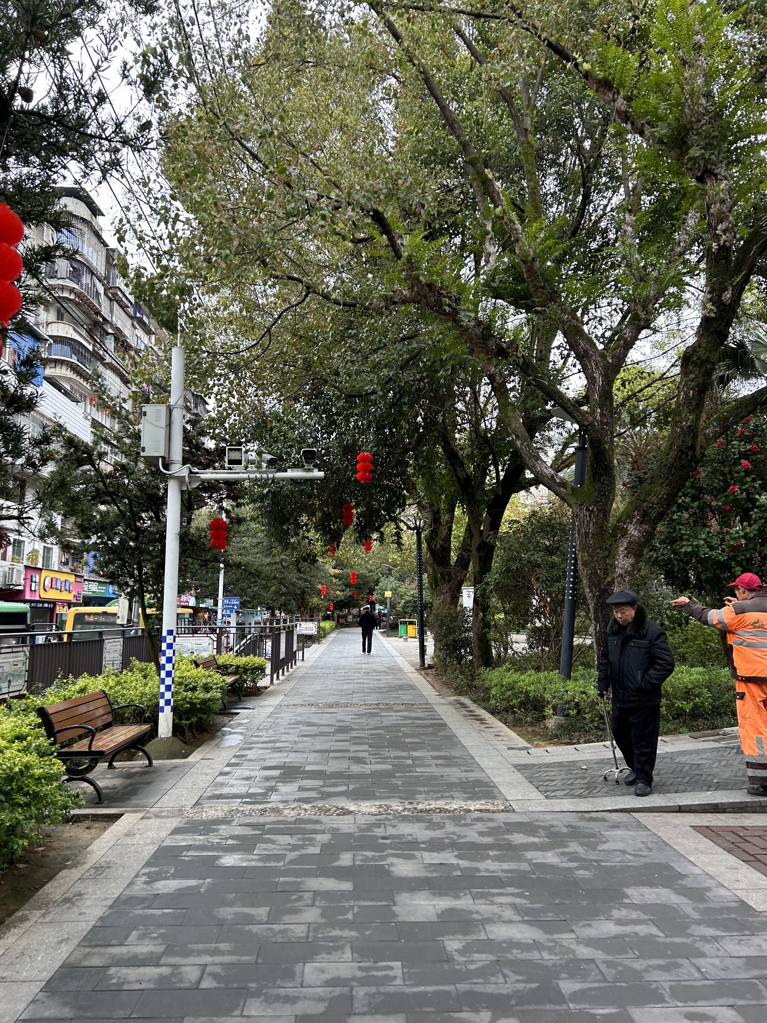 杨真公园旅行图片 2