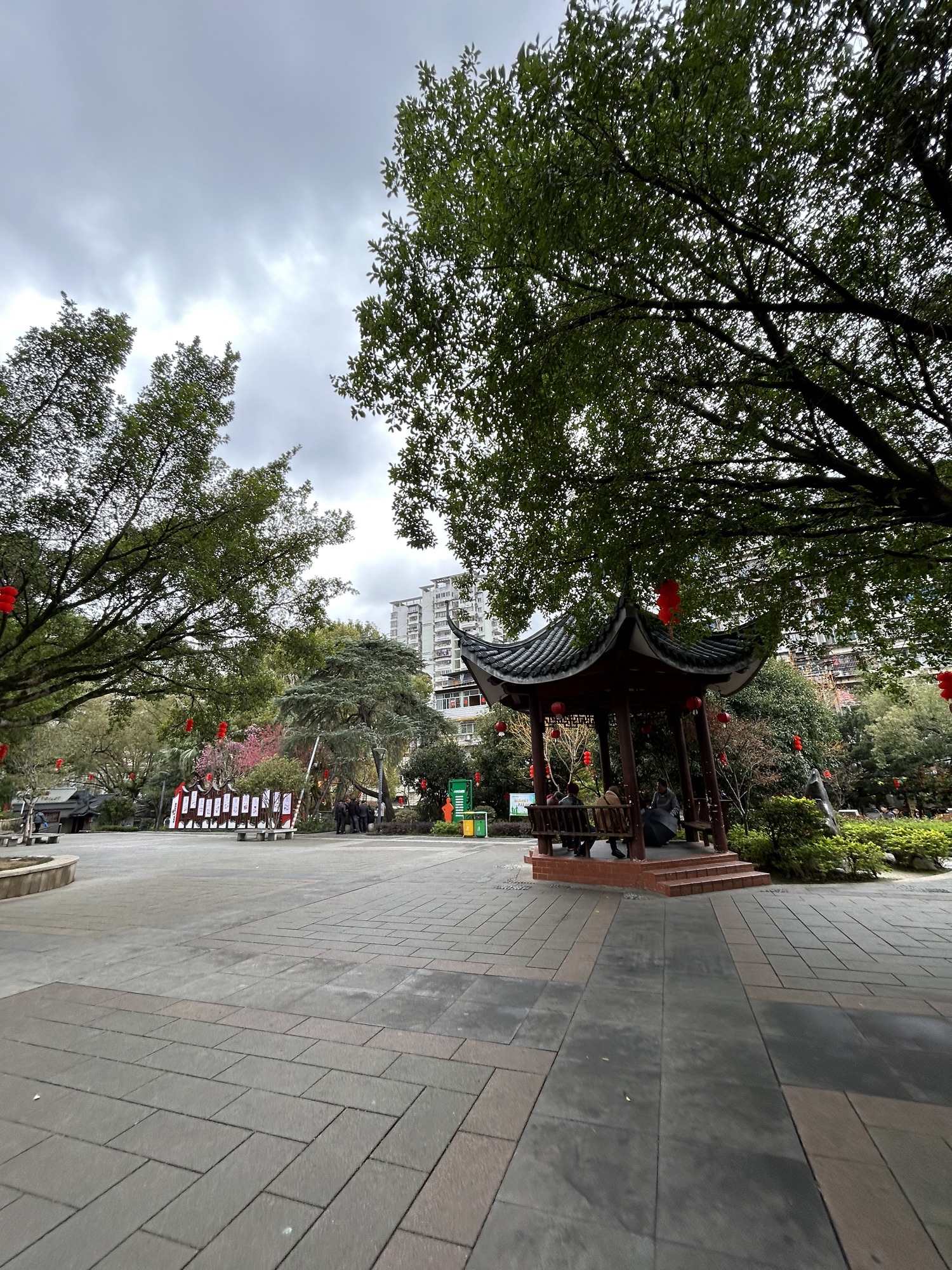 杨真公园旅行图片 3