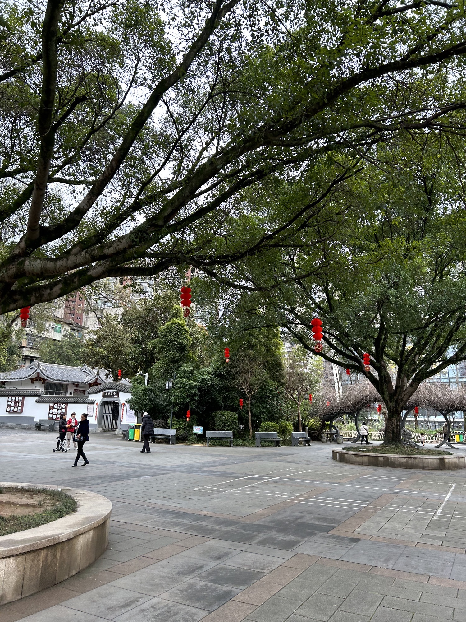 杨真公园旅行图片 2