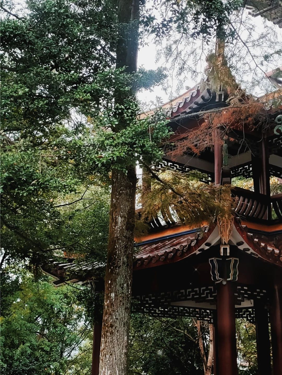 潭山公园旅行图片 1